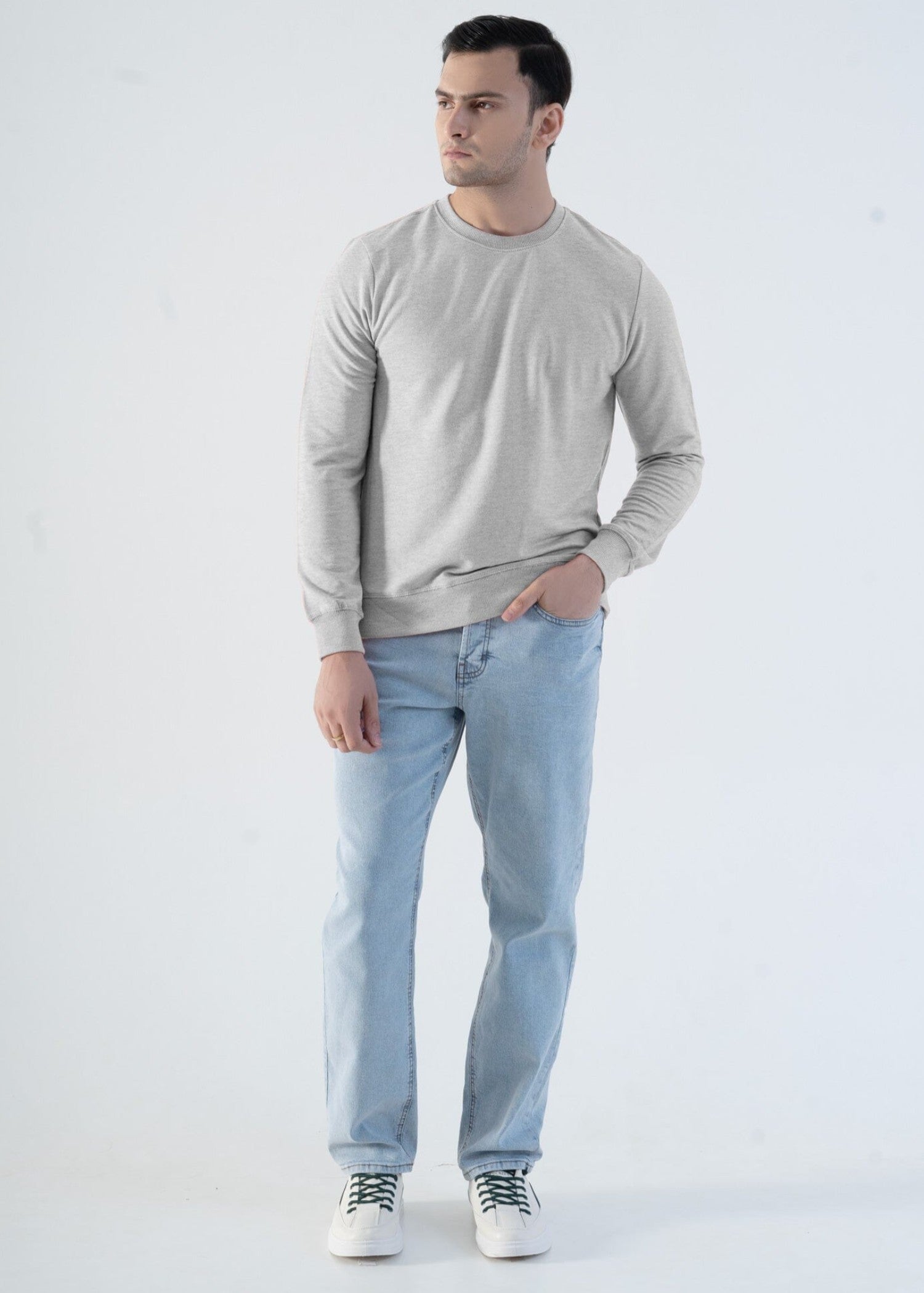terry Sweatshirt in Light grey