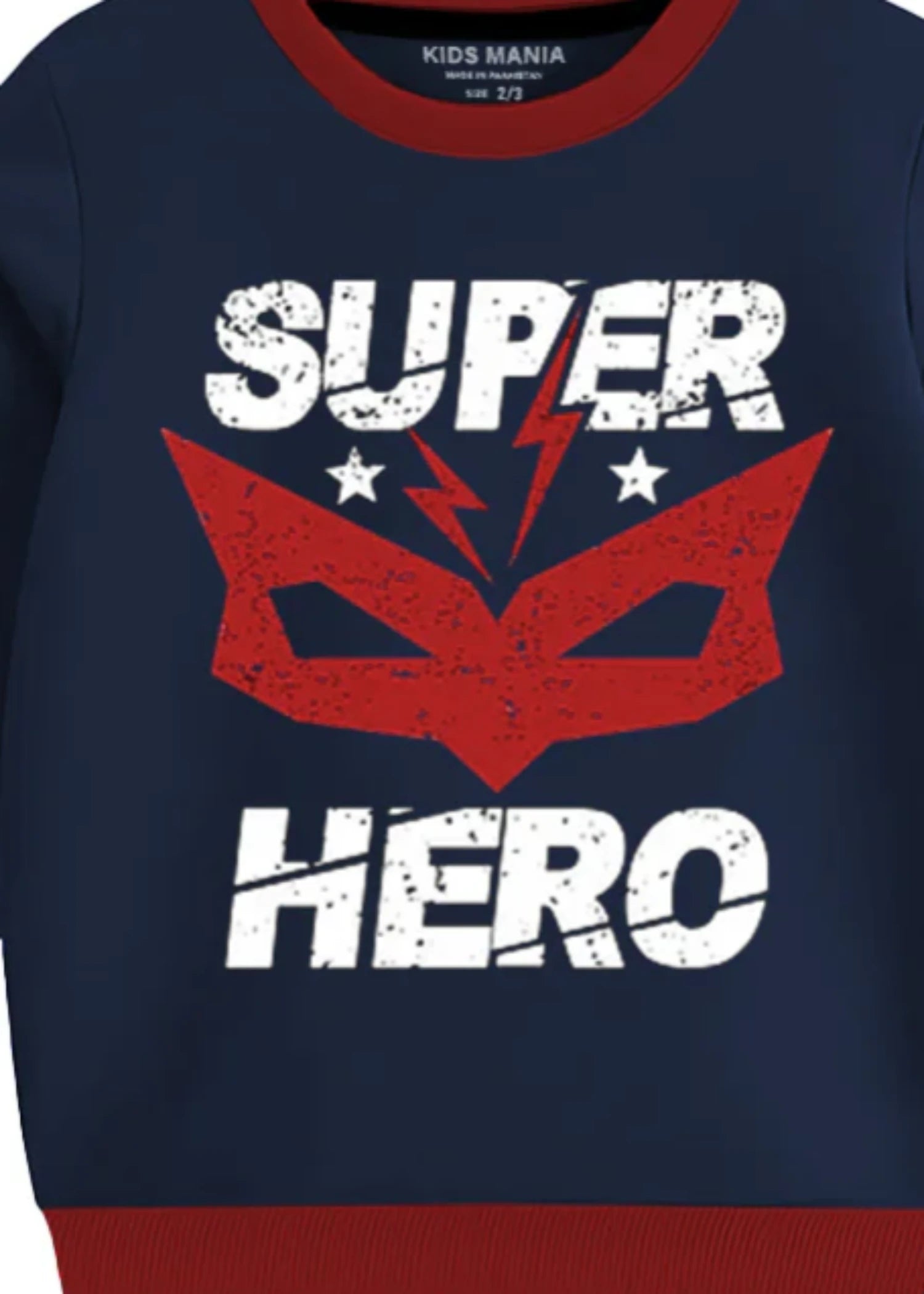 fleece Sweatshirt in Blue