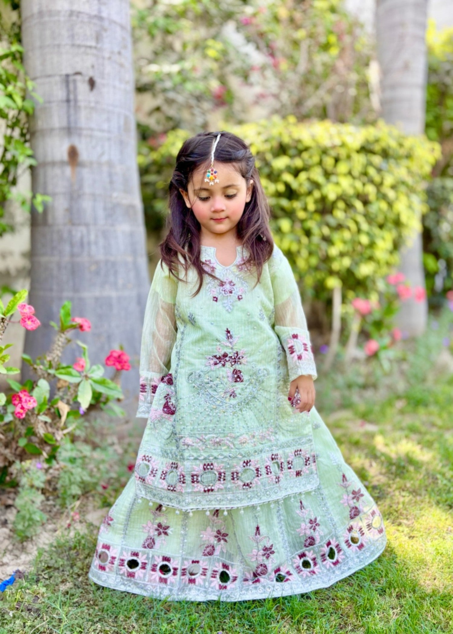 organza Lehenga in Tea green