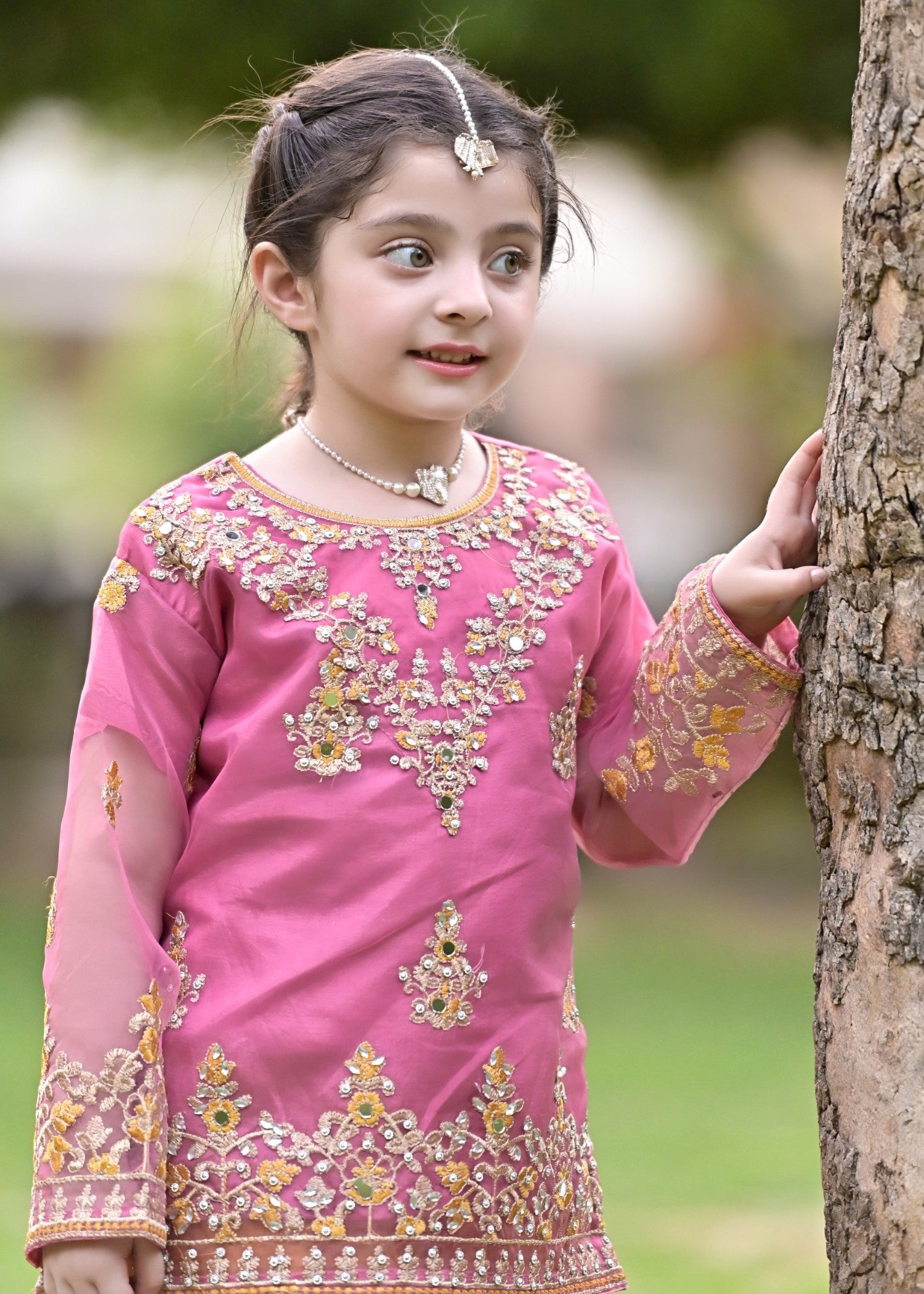 organza Lehenga in Multi