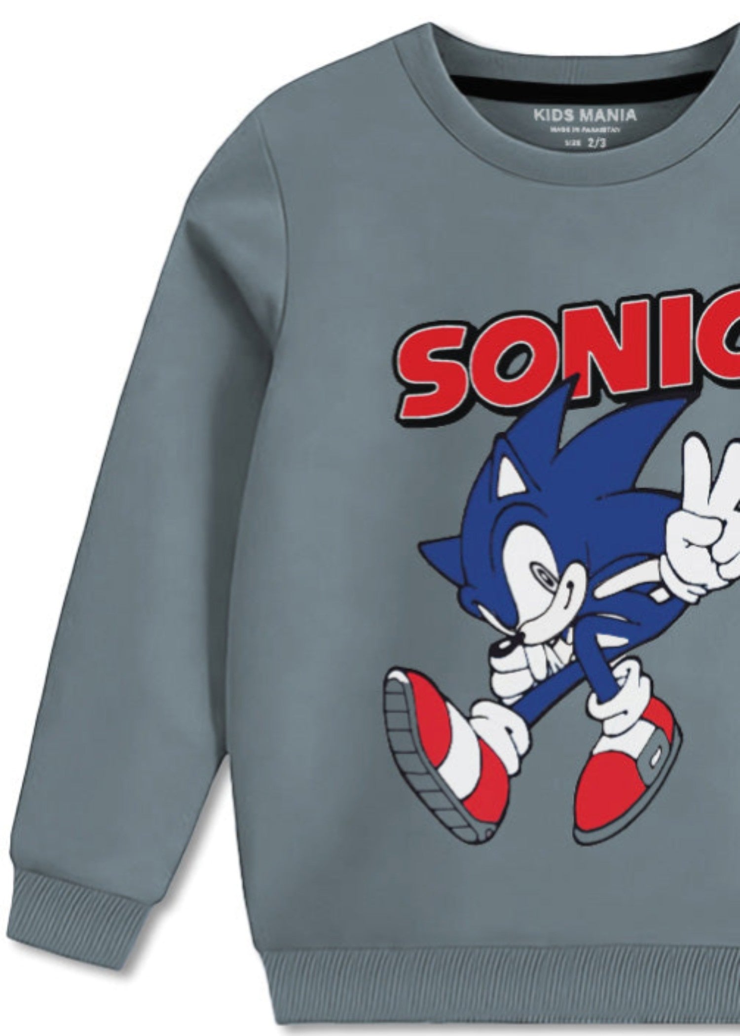 fleece Sweatshirt in Grey