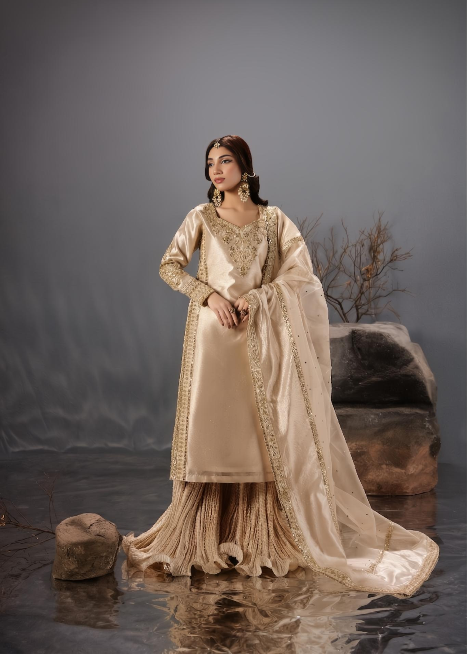 tissue Sharara in Champagne