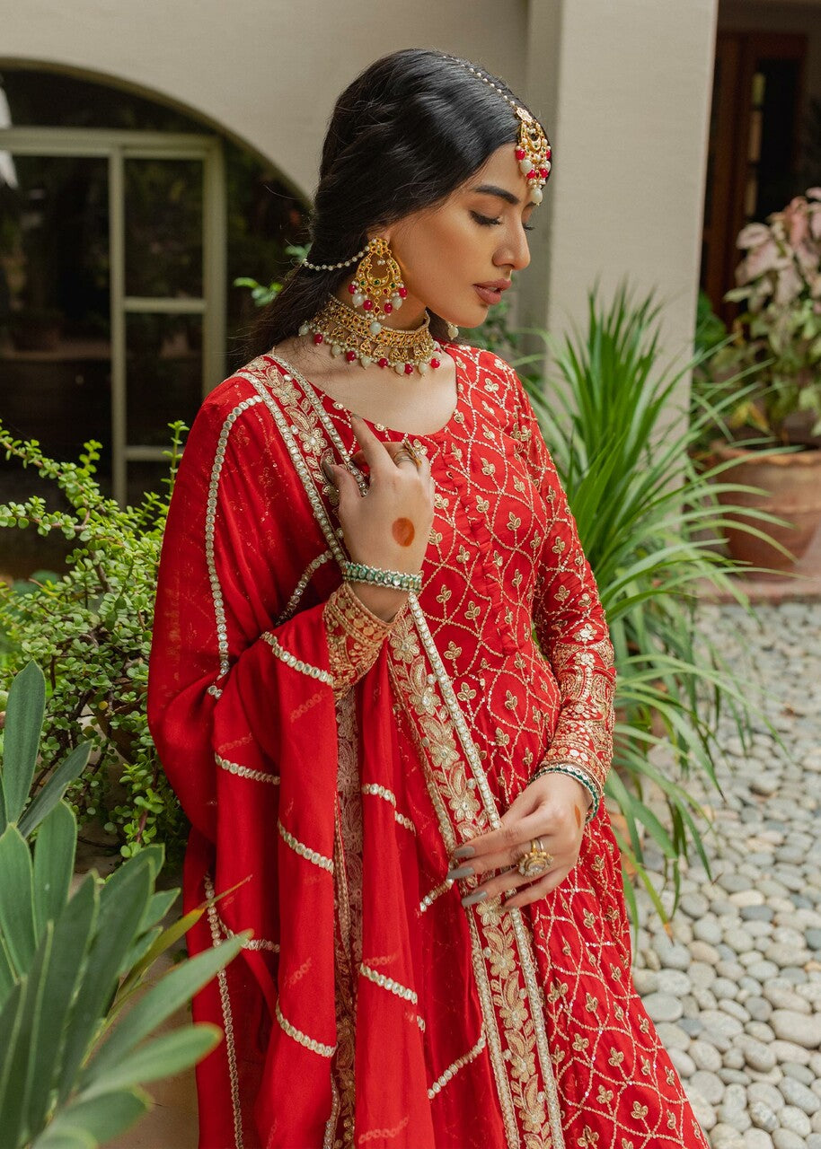 chiffon Pishwas in Red