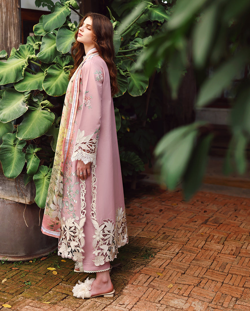 Secret Garden Lawn – Secret Petals