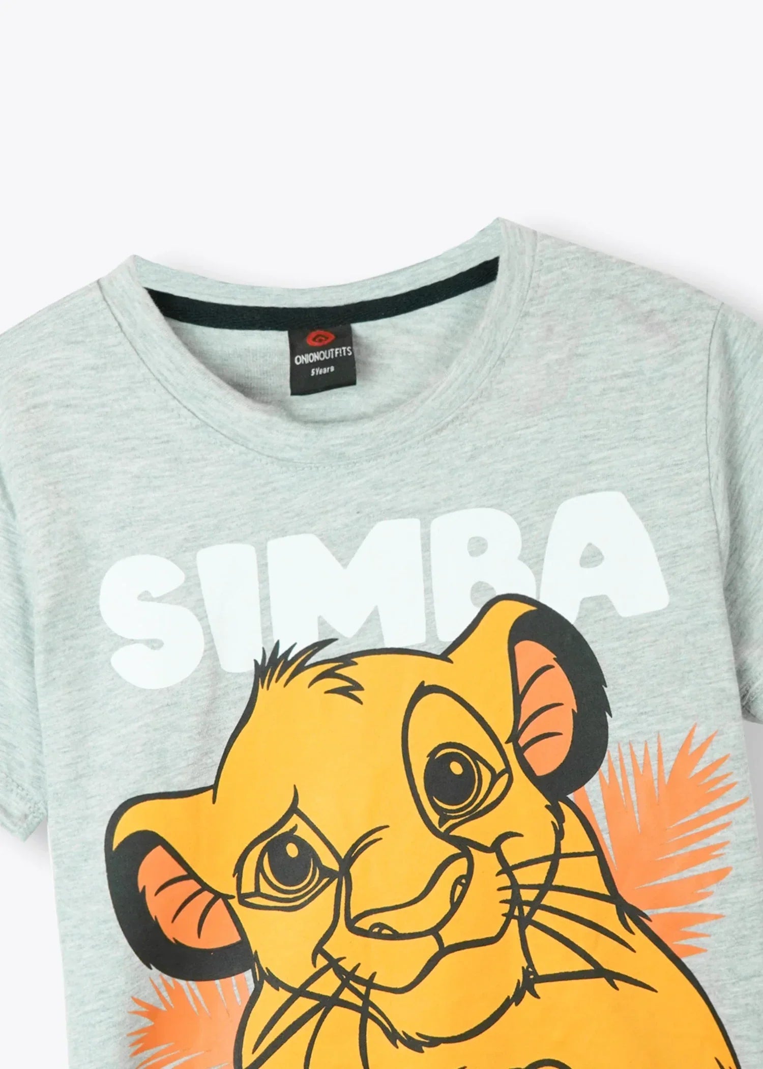 cotton T Shirt in Ash grey
