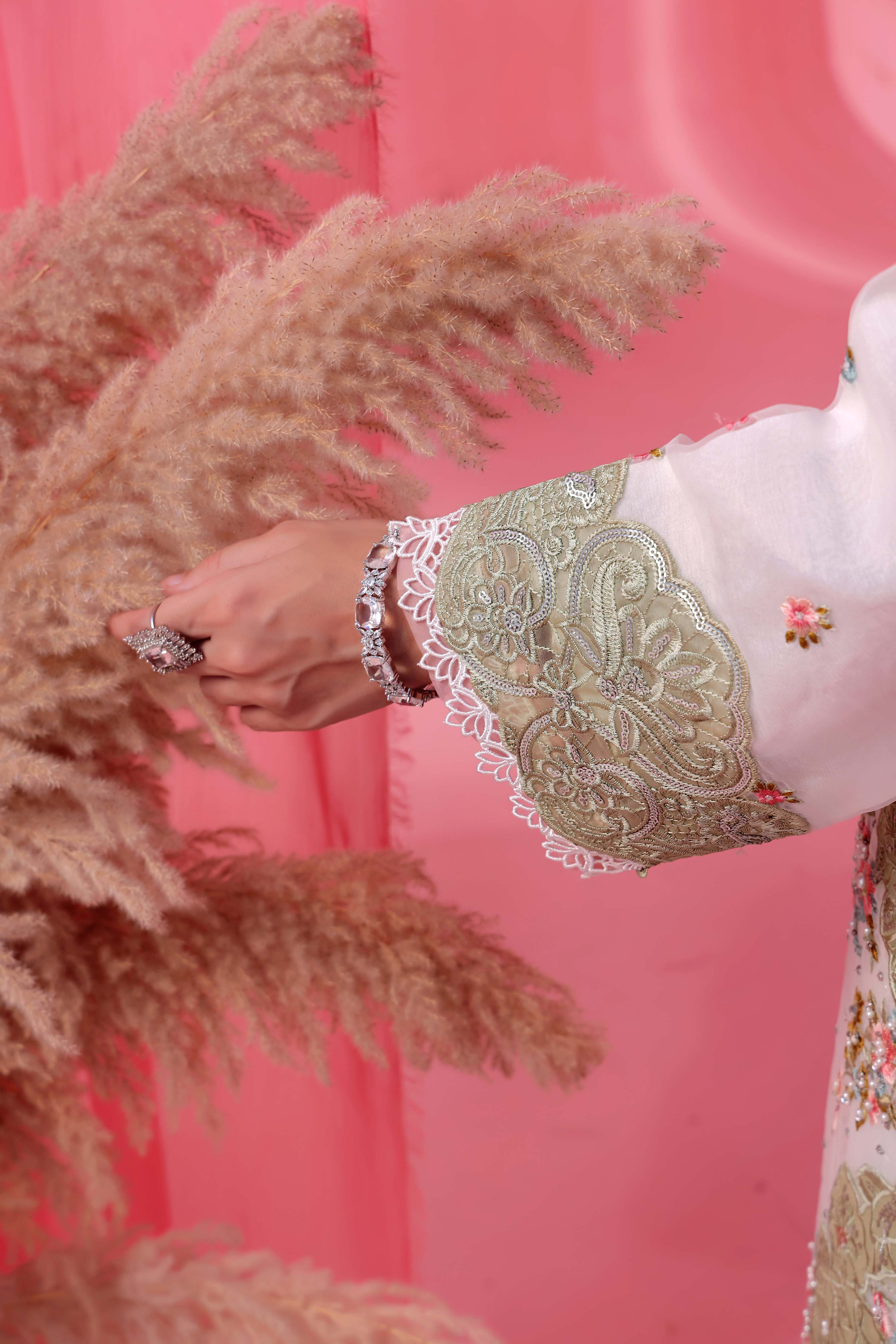 Noori RTW Organza Formal Pret – Chandni