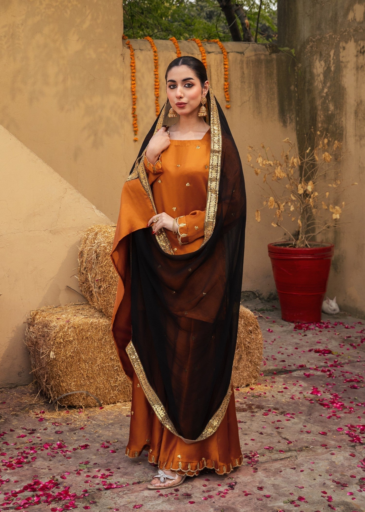 silk Sharara in Burnt orange