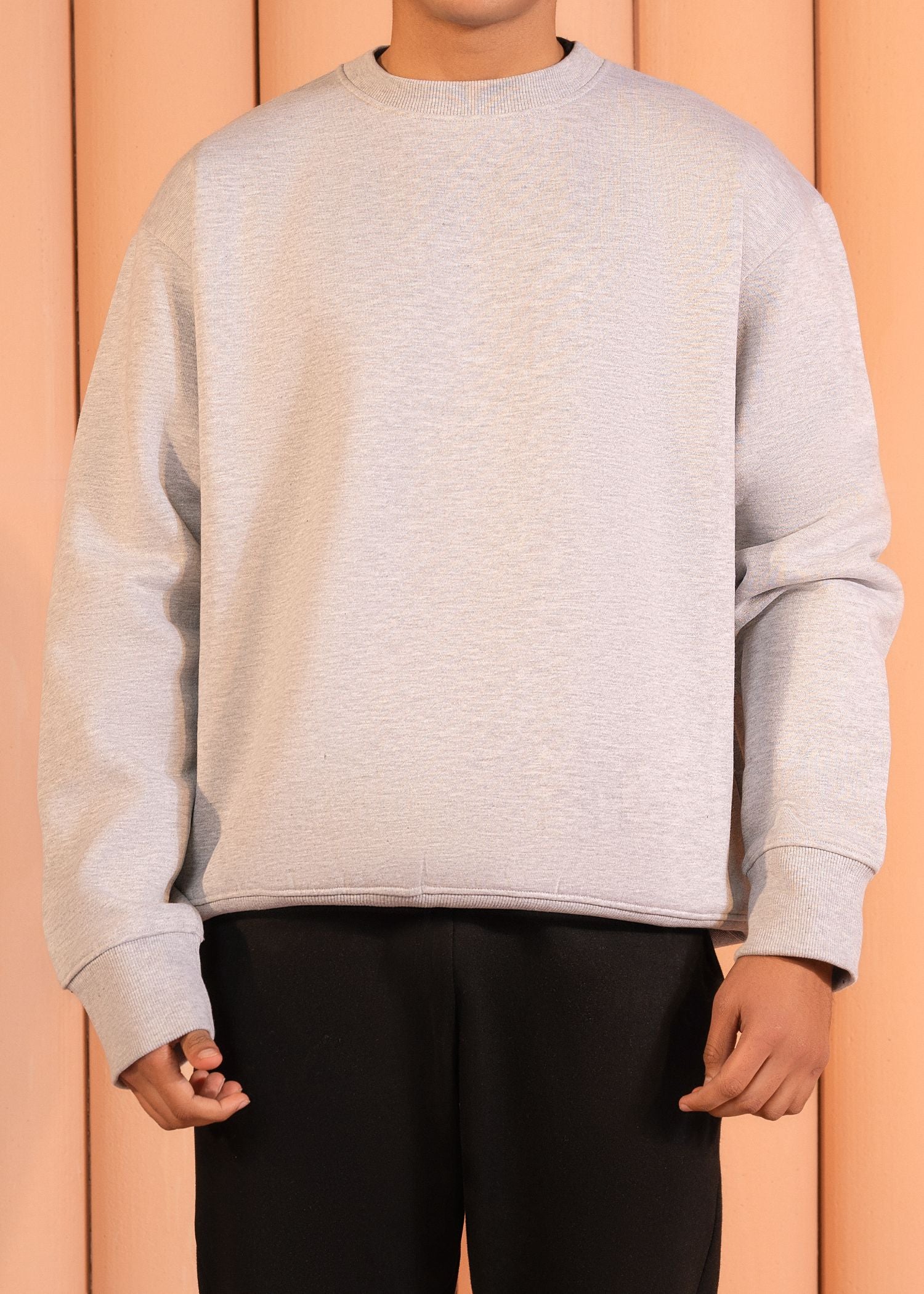 fleece Sweatshirt in Grey by DAZE
