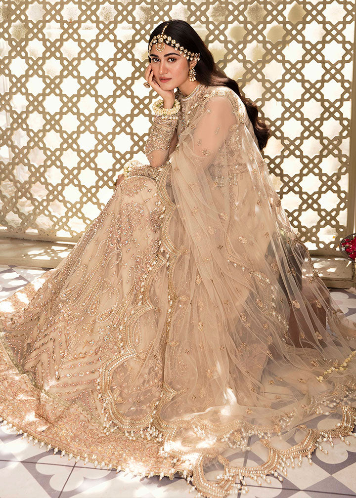 net Lehenga in Beige