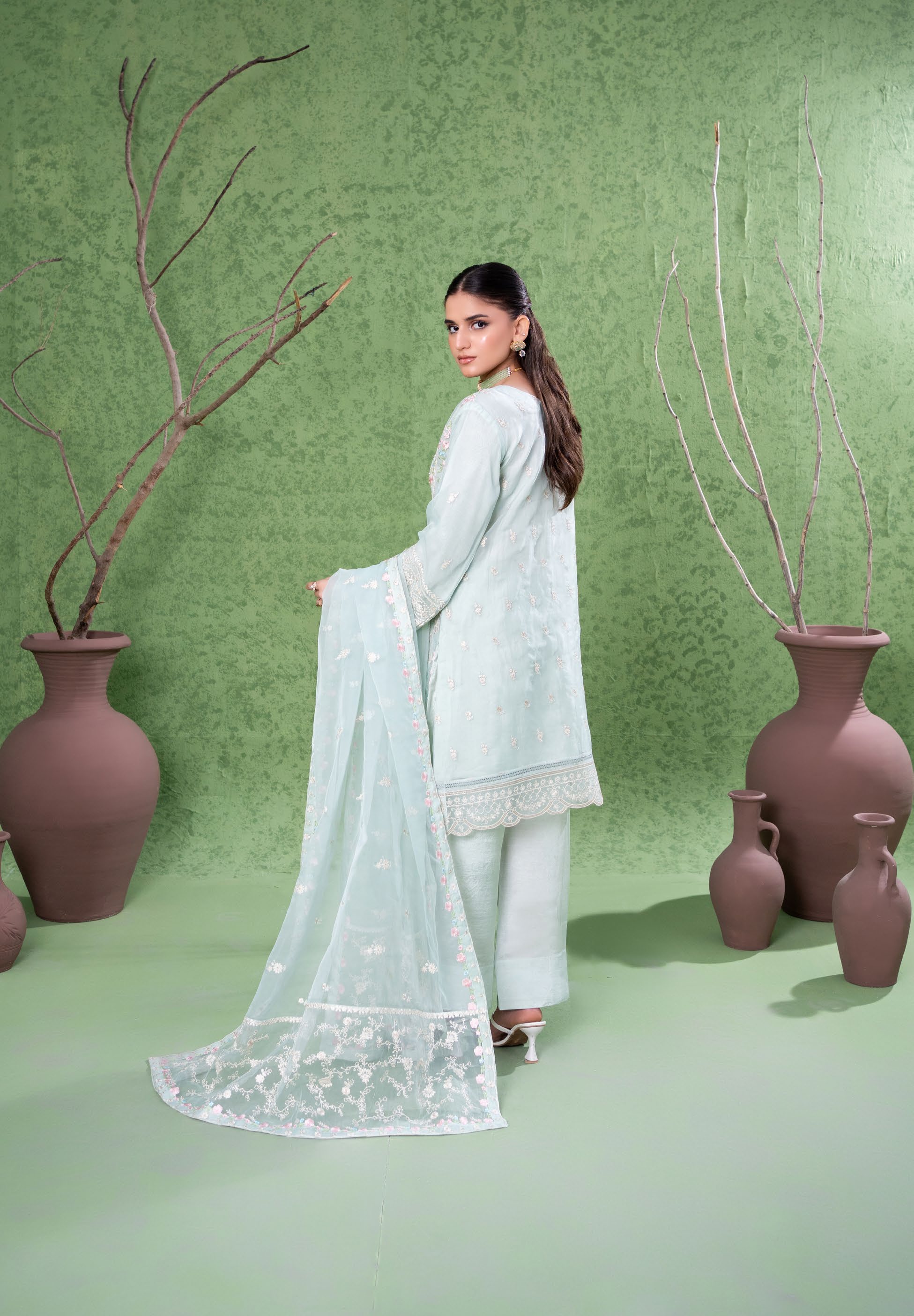 Kahani Festive Pret Organza Formals – D-5
