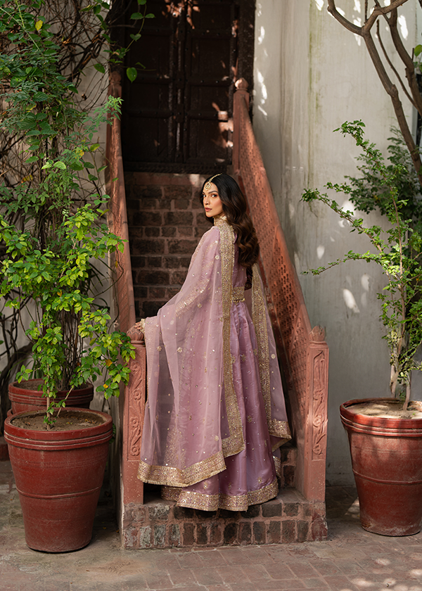 charmuse/shamooz Lehenga in Purple ash