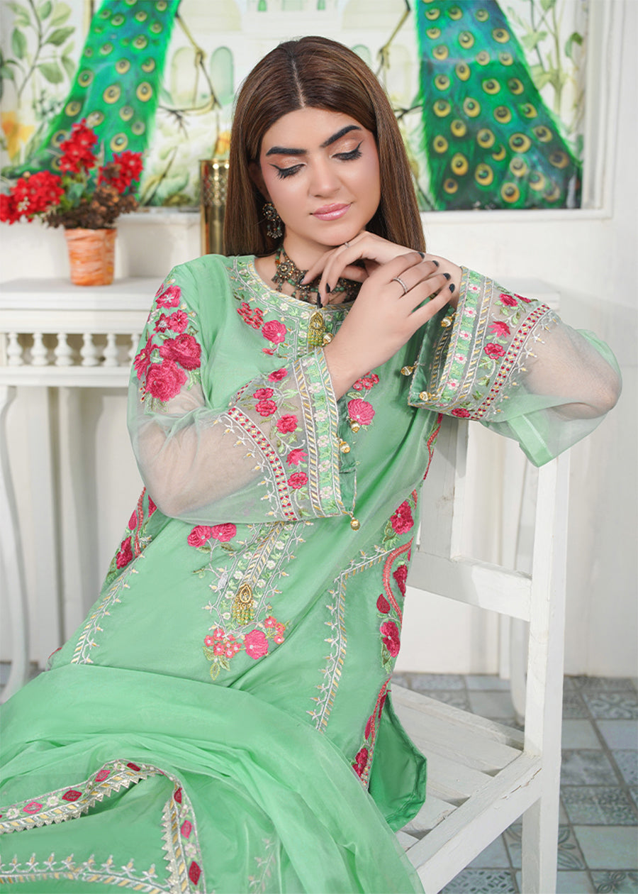 organza Kurta Set in Meadow green