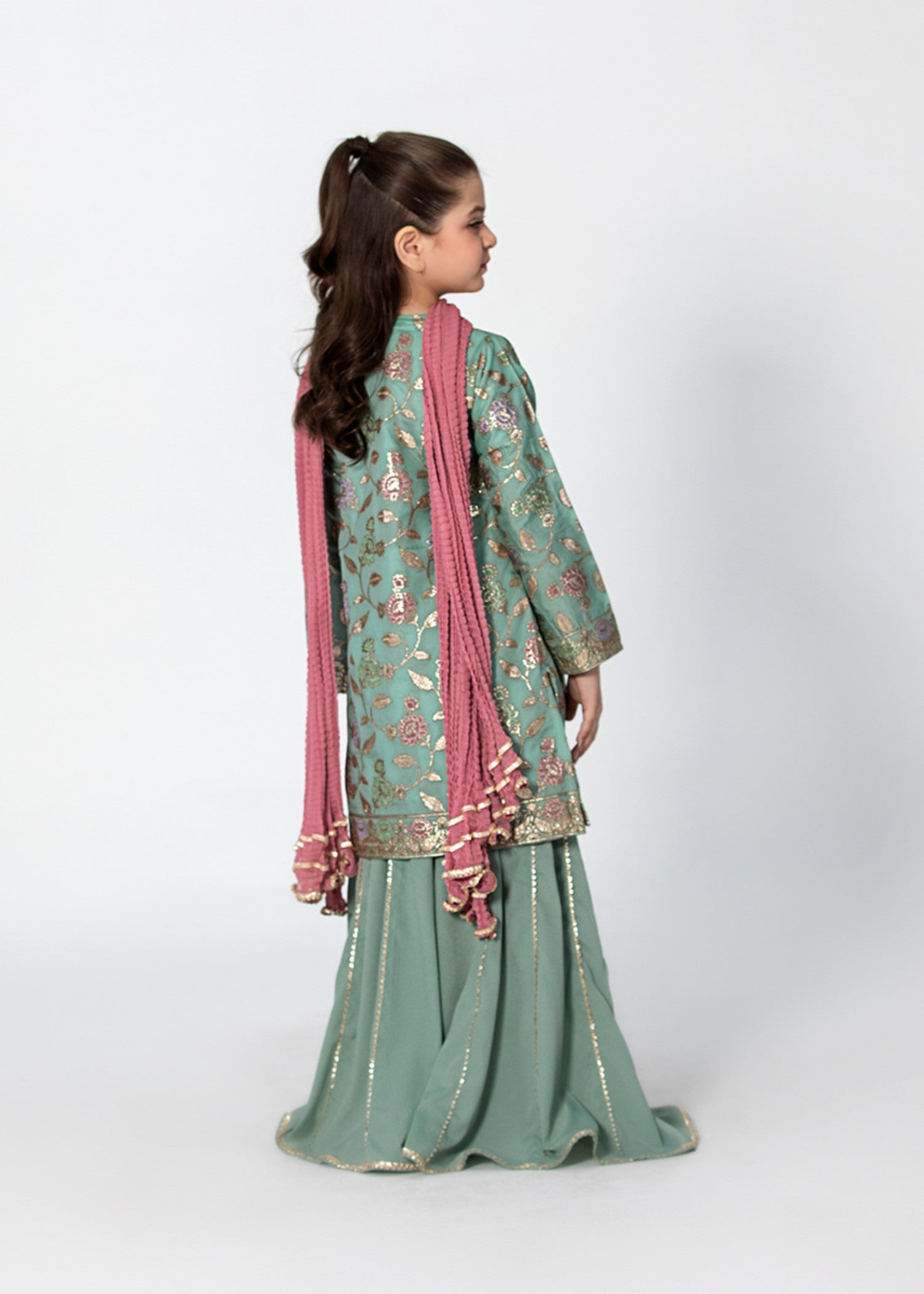banarasi resham silk Sharara in Pastel green