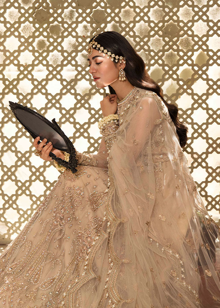 net Lehenga in Beige