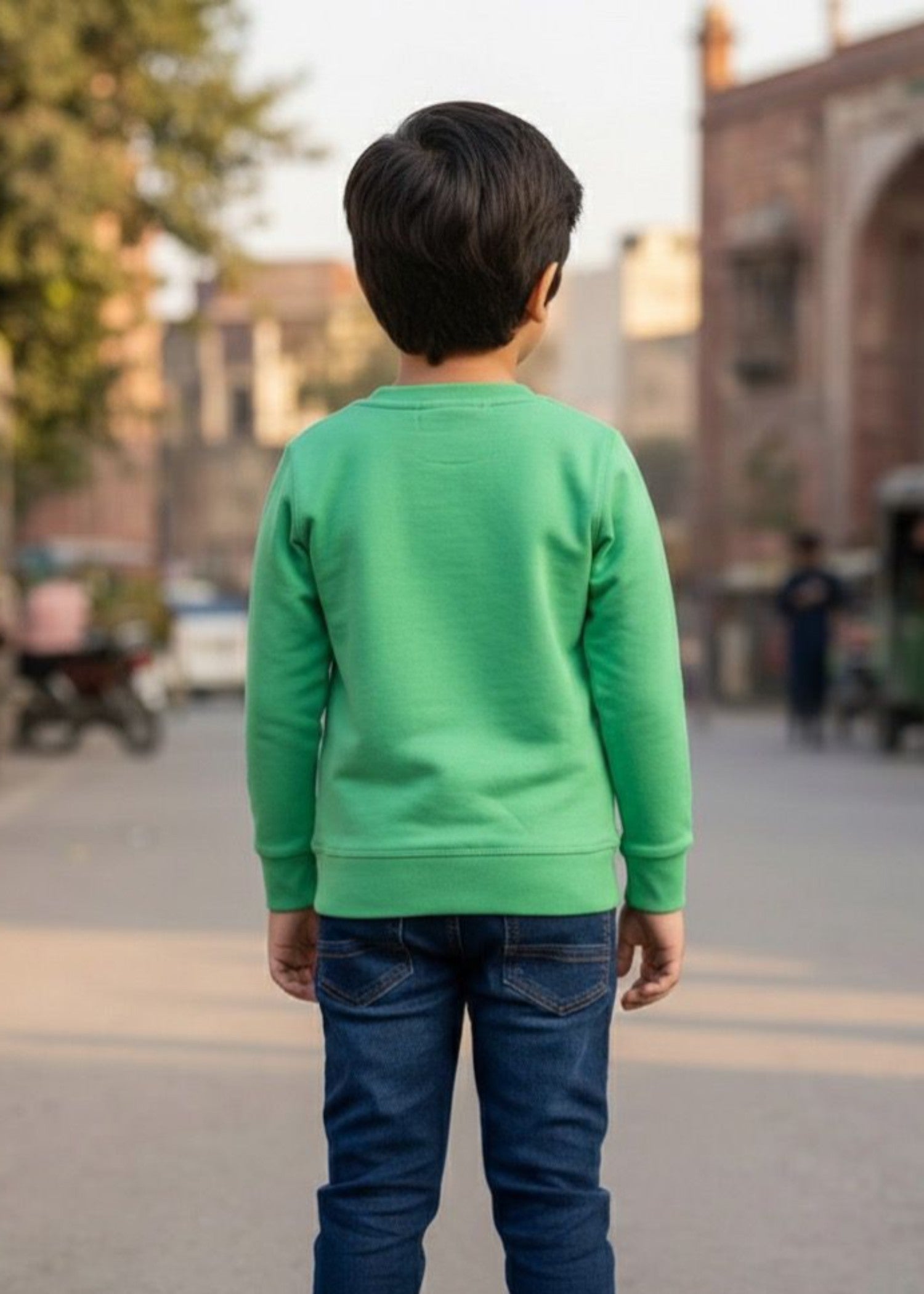fleece Sweatshirt in Pastel green
