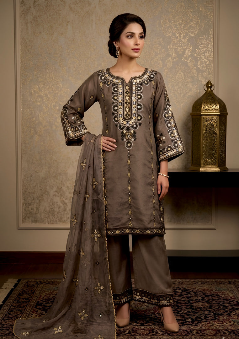 organza net Kurta Set in Mocha brown
