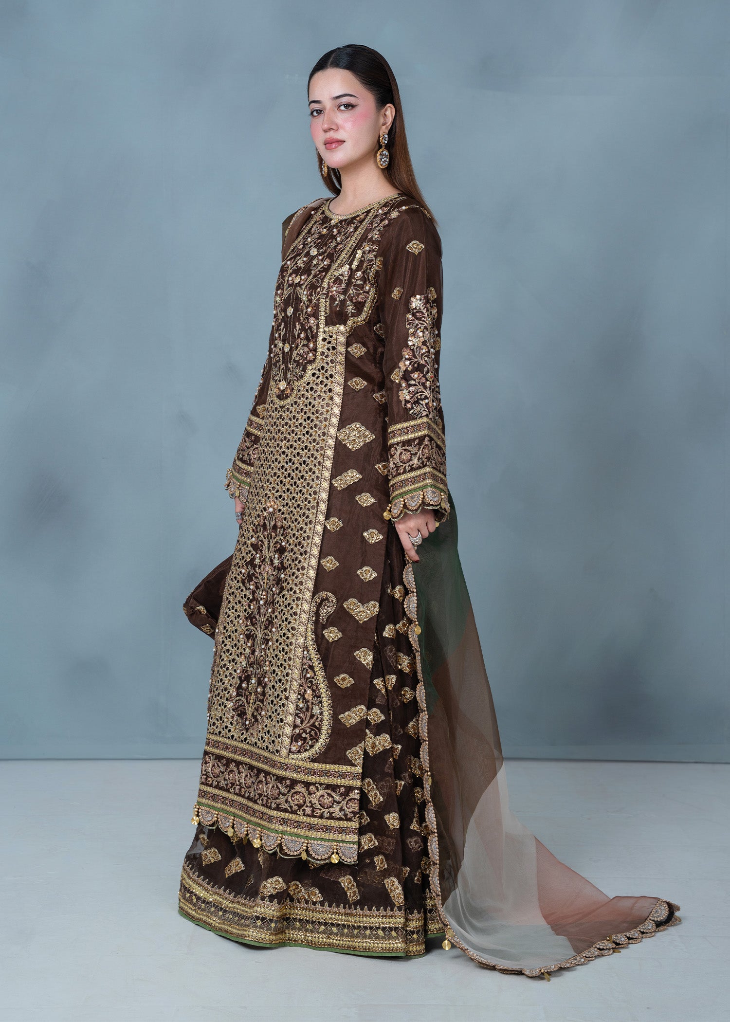 organza Lehenga in Brown
