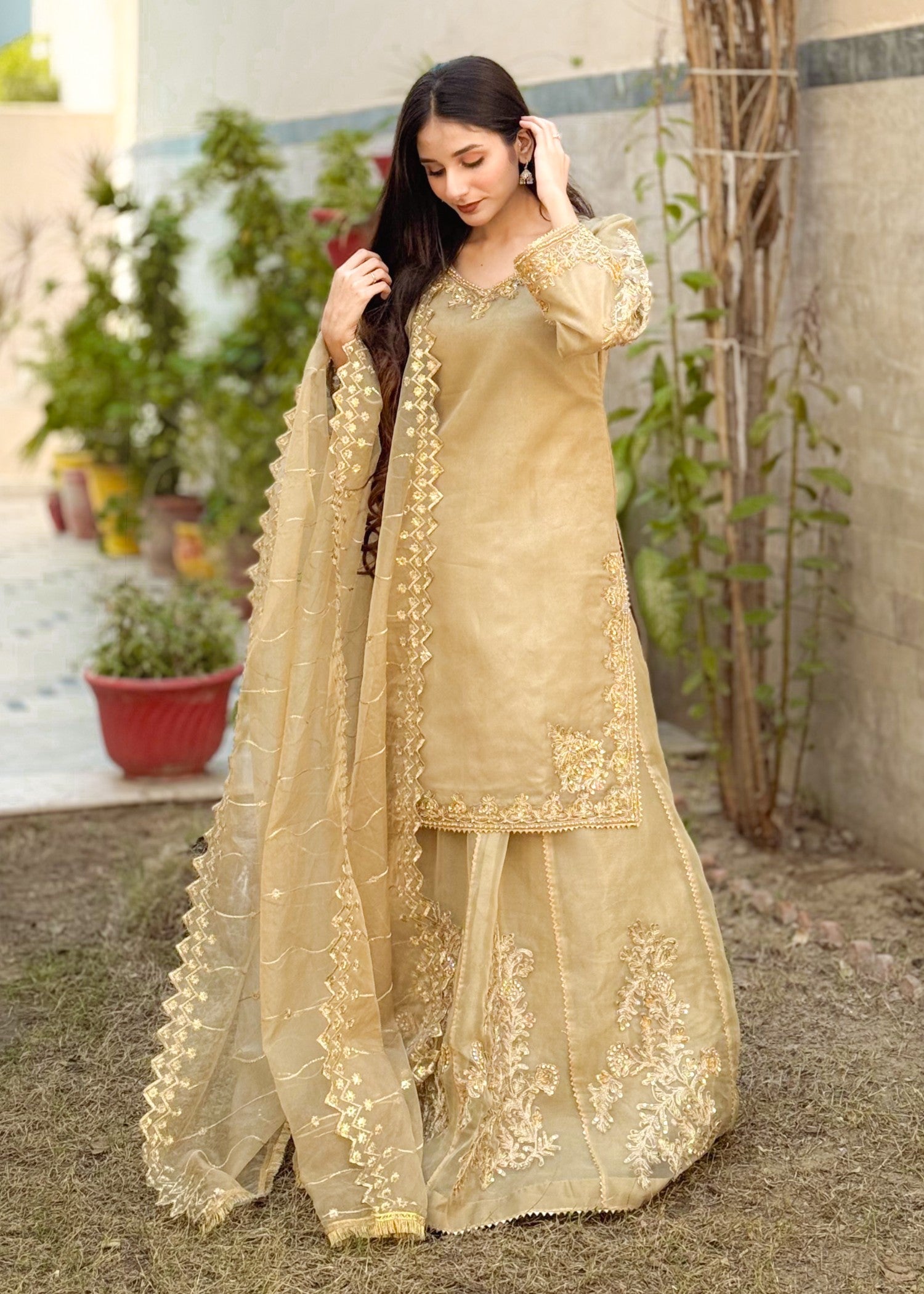 masuri Sharara in Golden brown