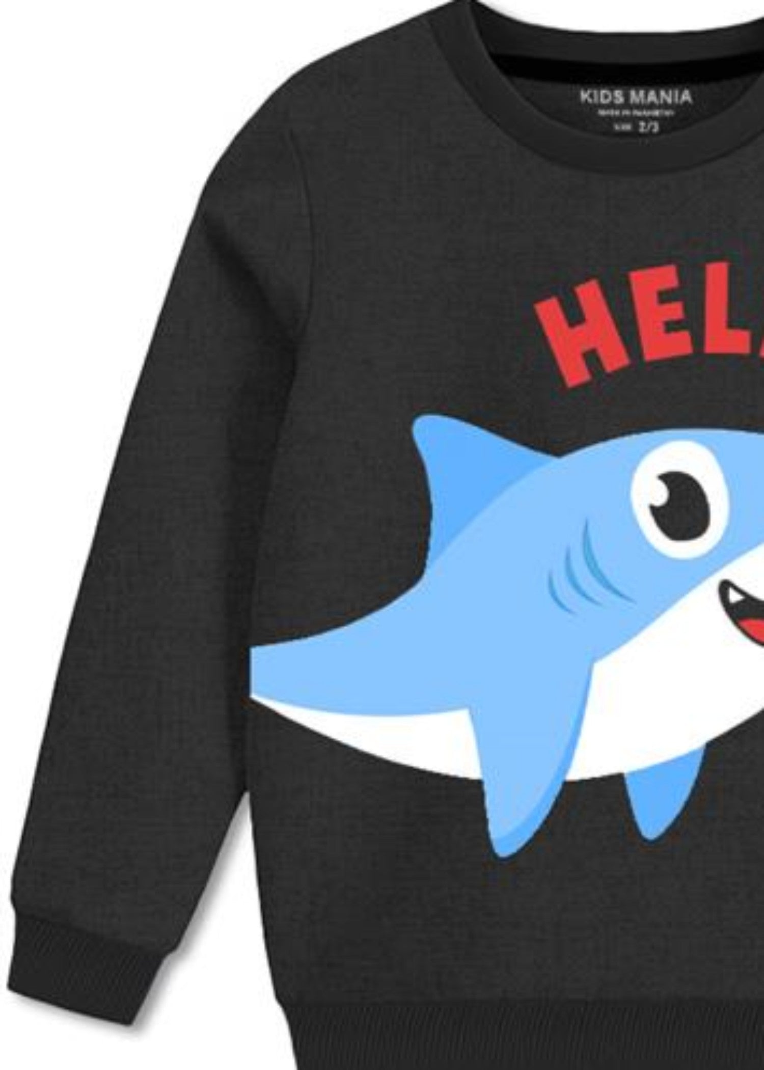 fleece Sweatshirt in Dark grey