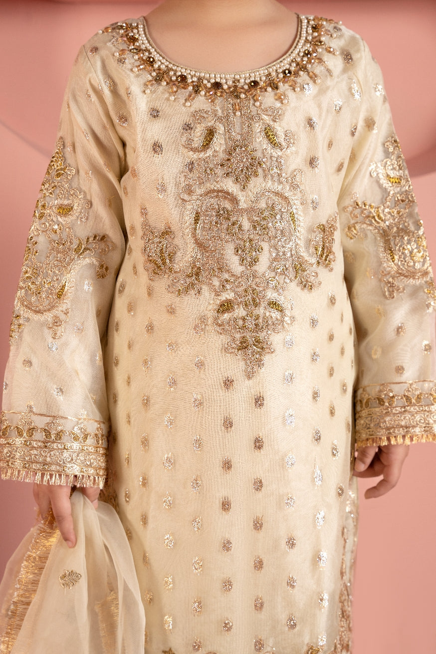 organza Gharara in Off-white