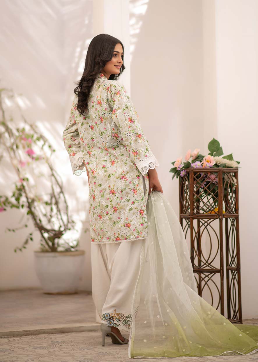chikankari cotton Kurta Set in Sage green