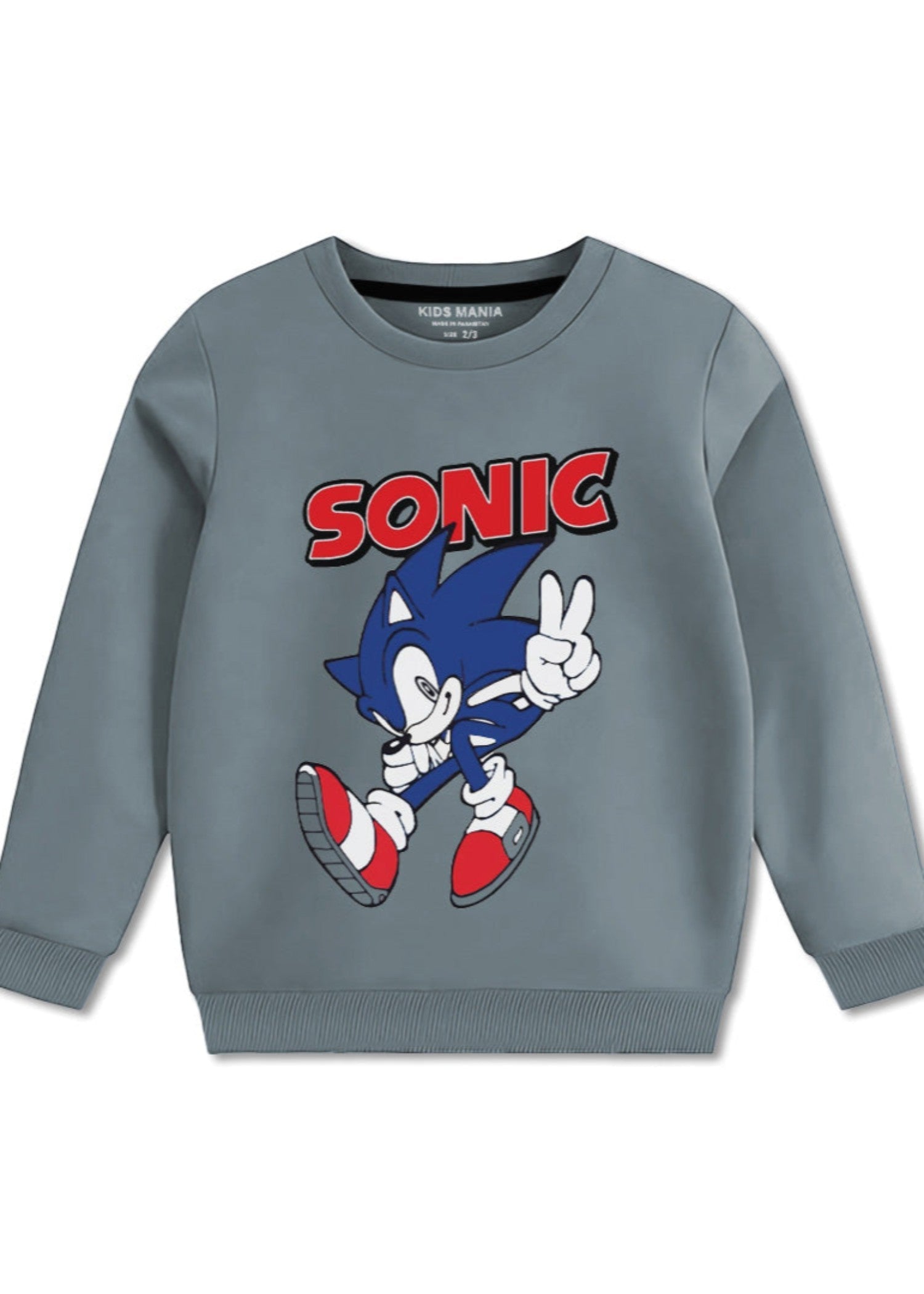 fleece Sweatshirt in Grey