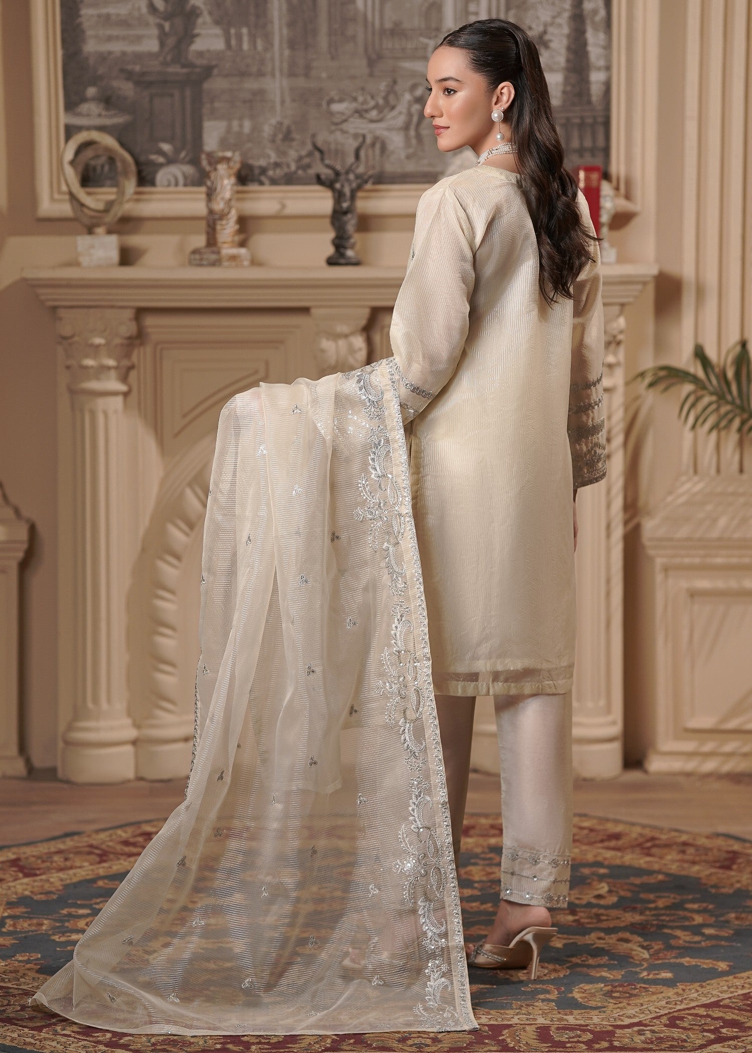 organza Kurta Set in Beige