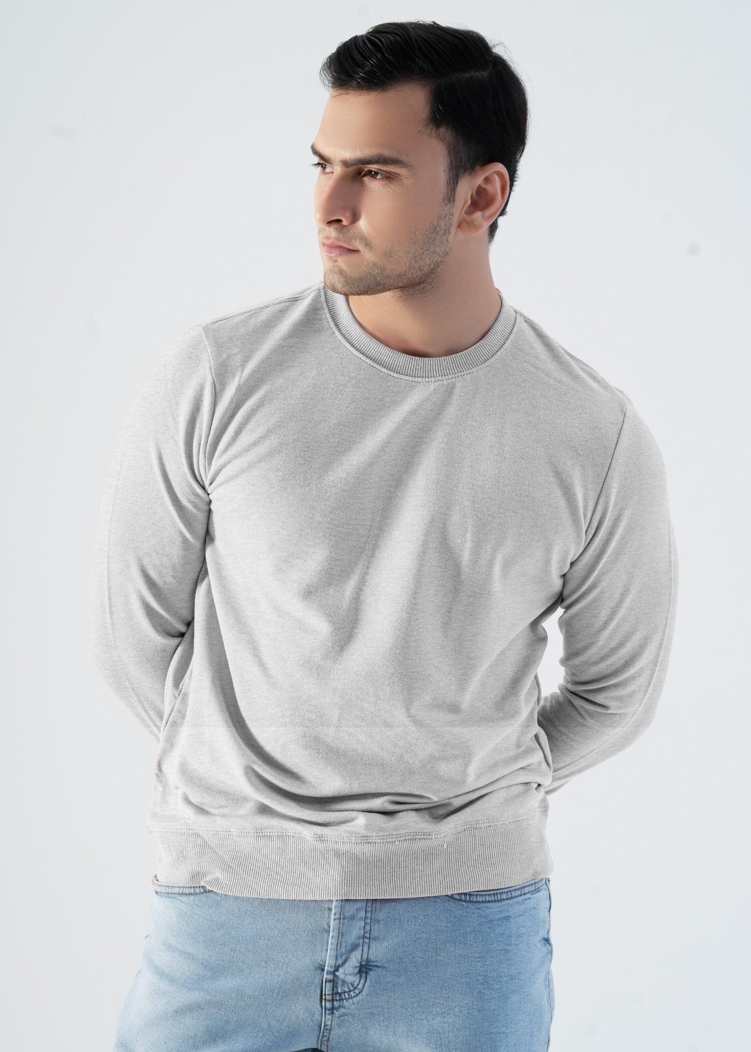 terry Sweatshirt in Light grey