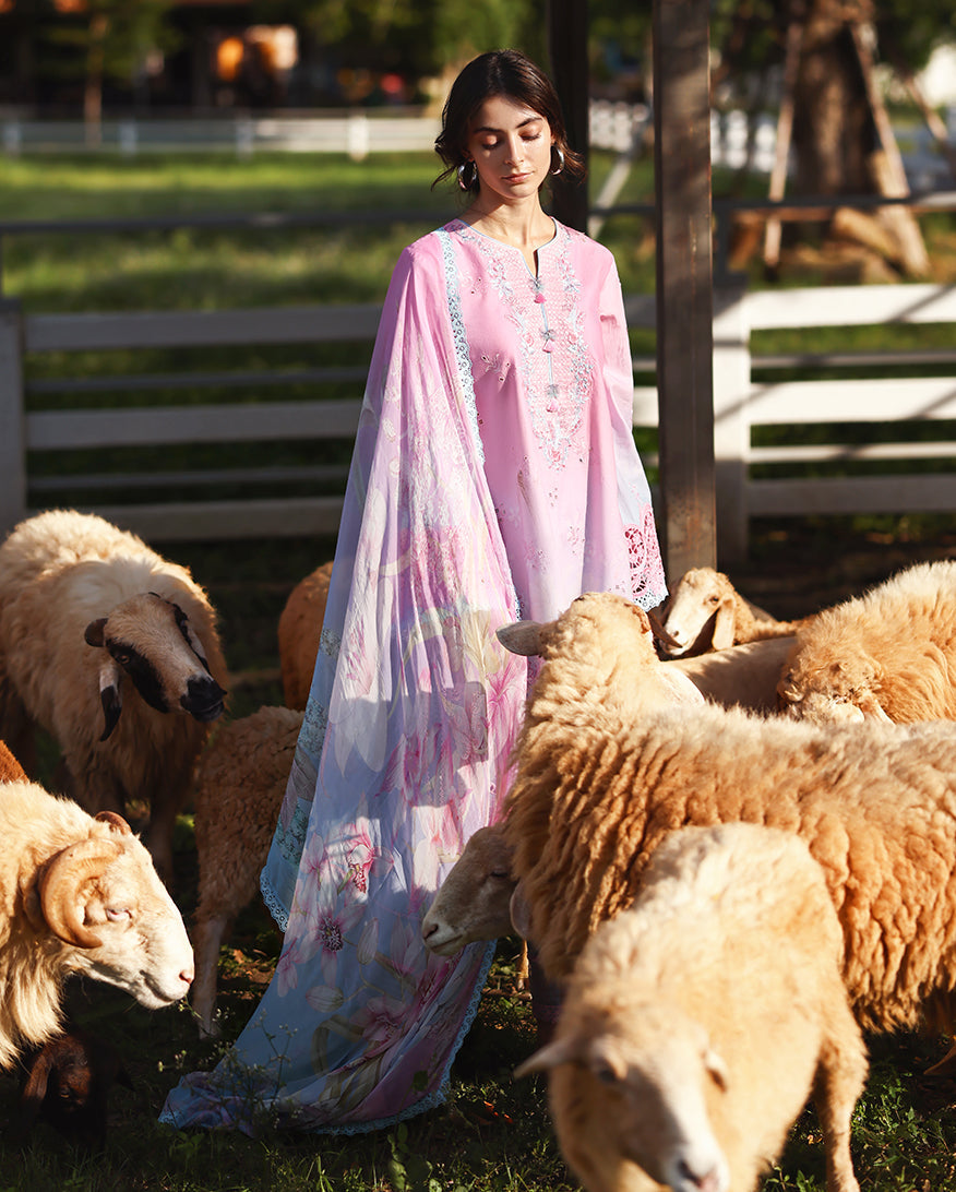 Solace Ombre Chikankari Lawn – Faint Blossom