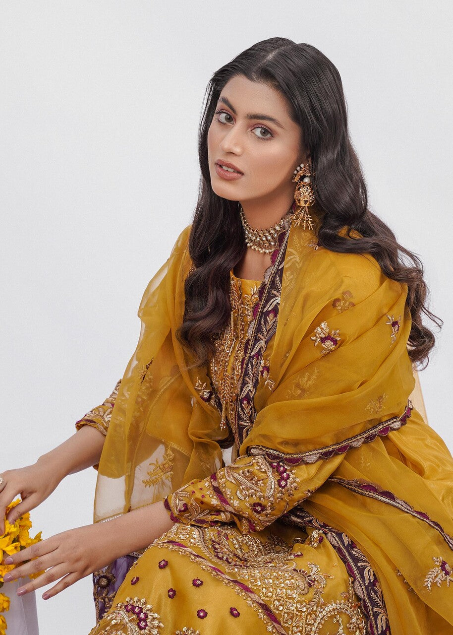 chiffon Kurta Set in Bronze orange