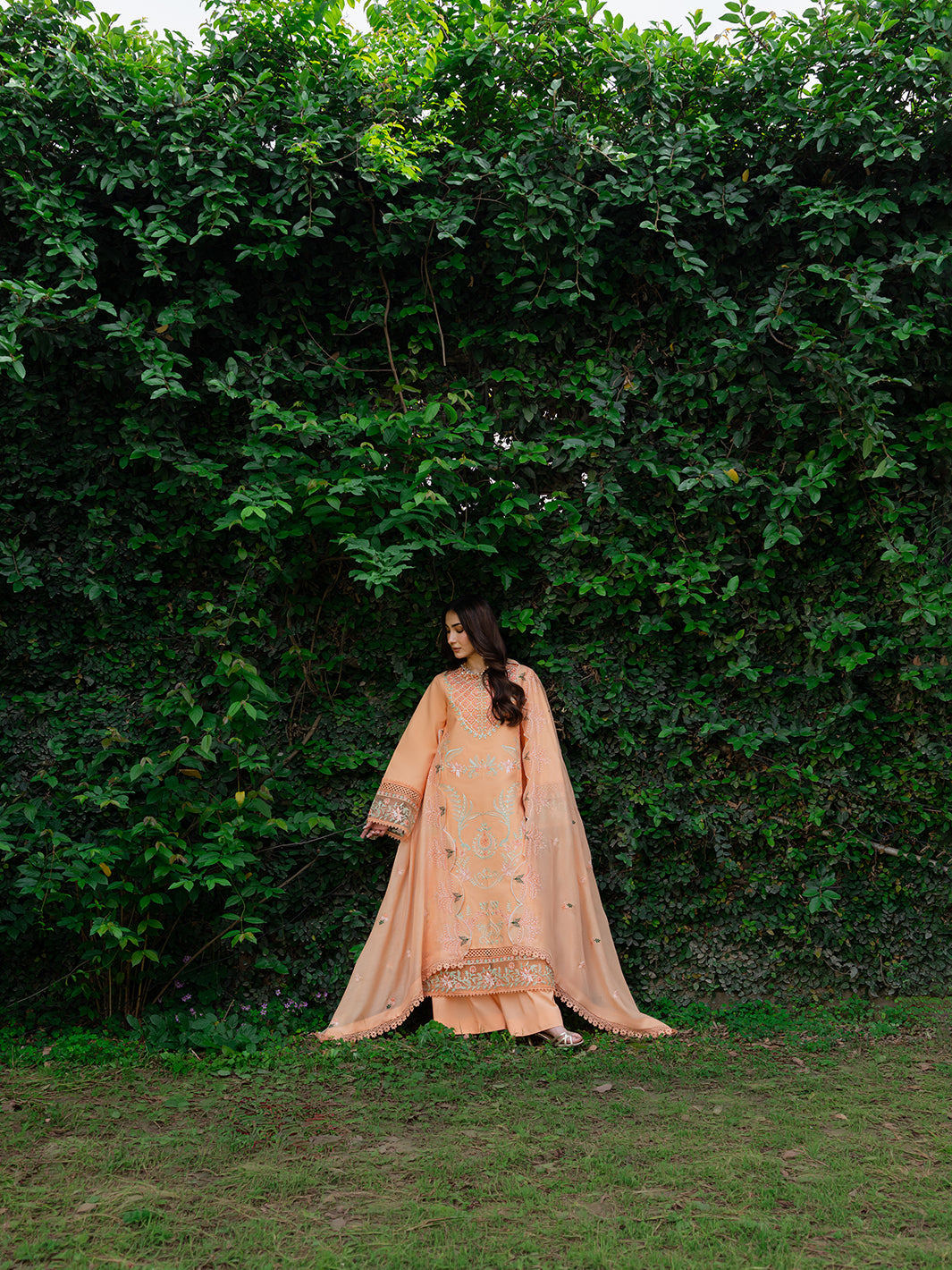 Amaya Lawn – MU-12