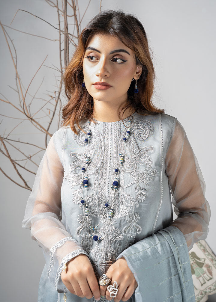 organza Kurta Set in Silver
