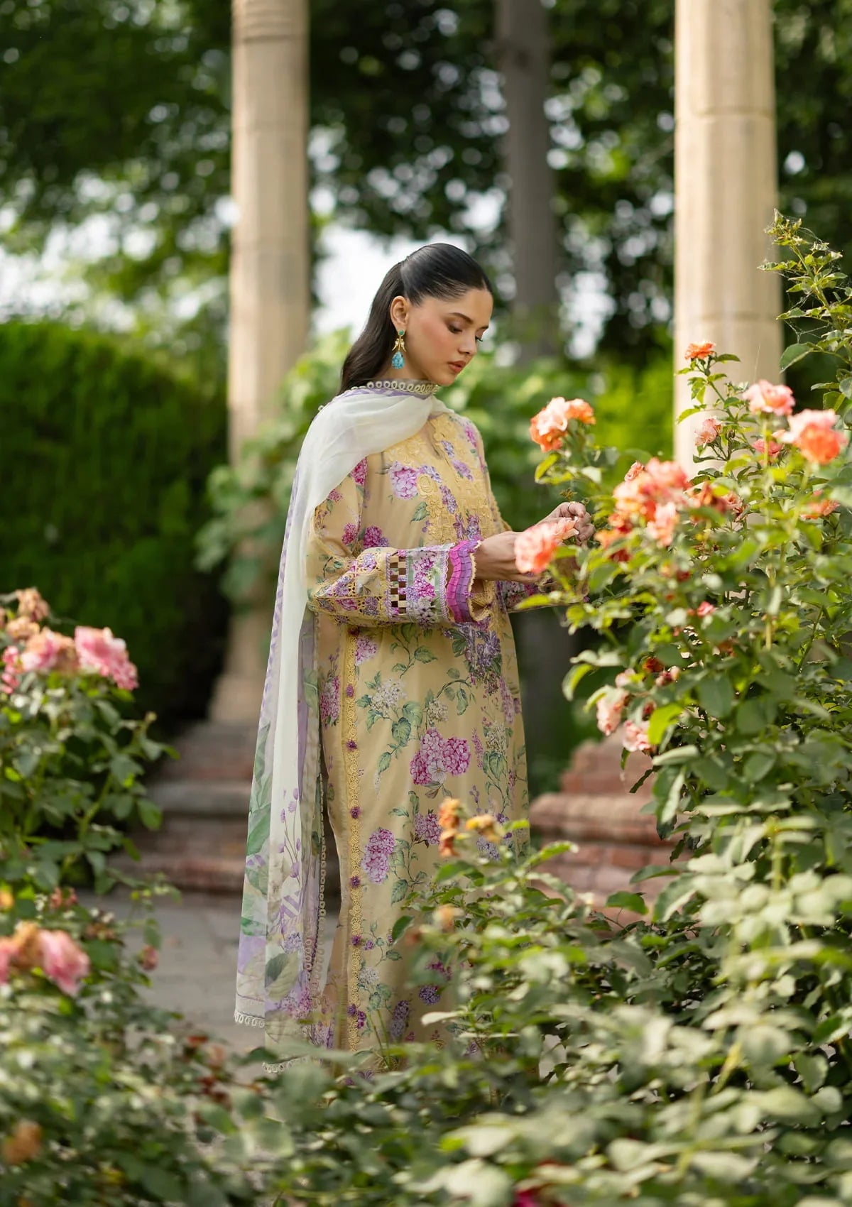 Signature Lawn Edit – 7a Stella