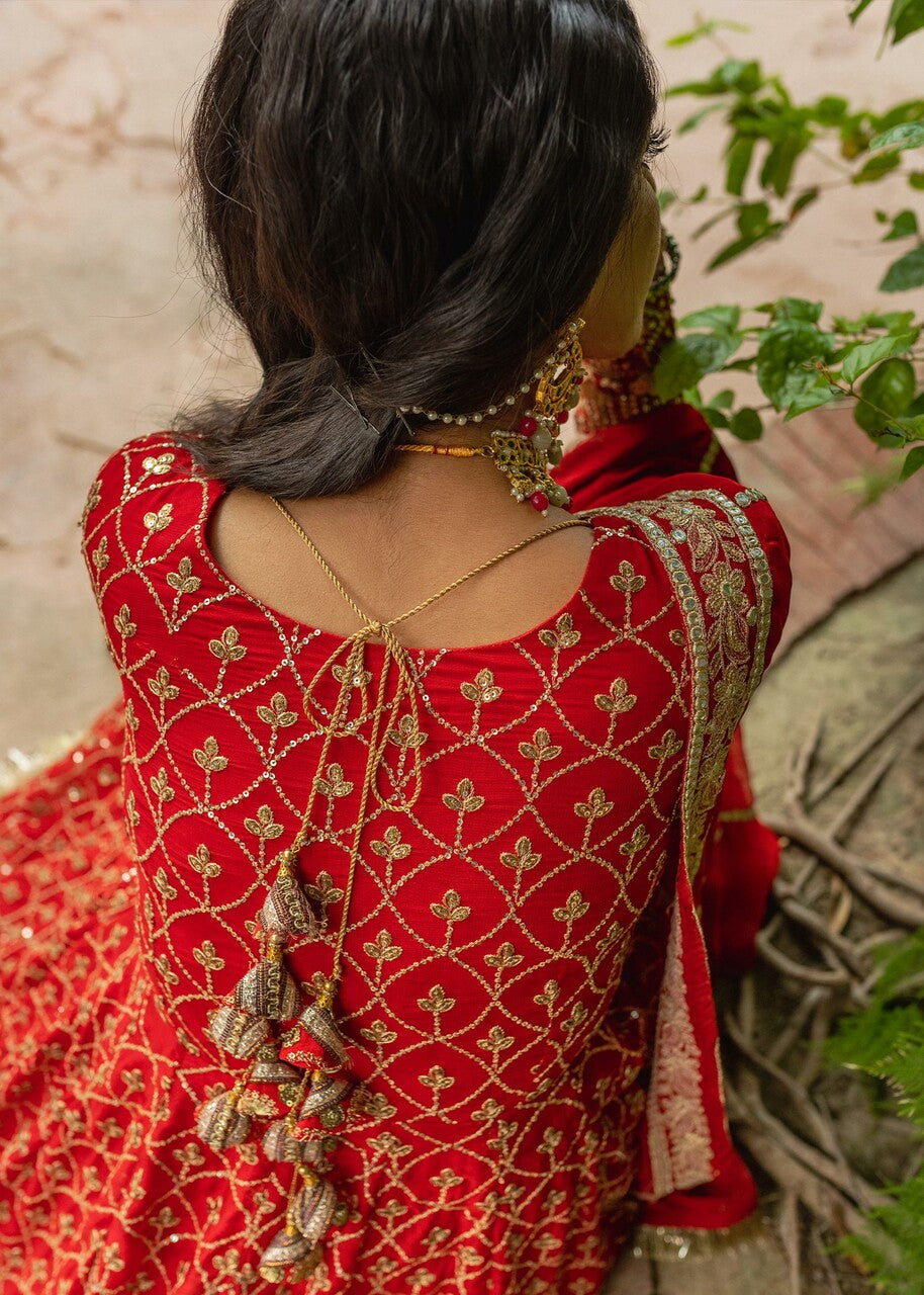 chiffon Pishwas in Red
