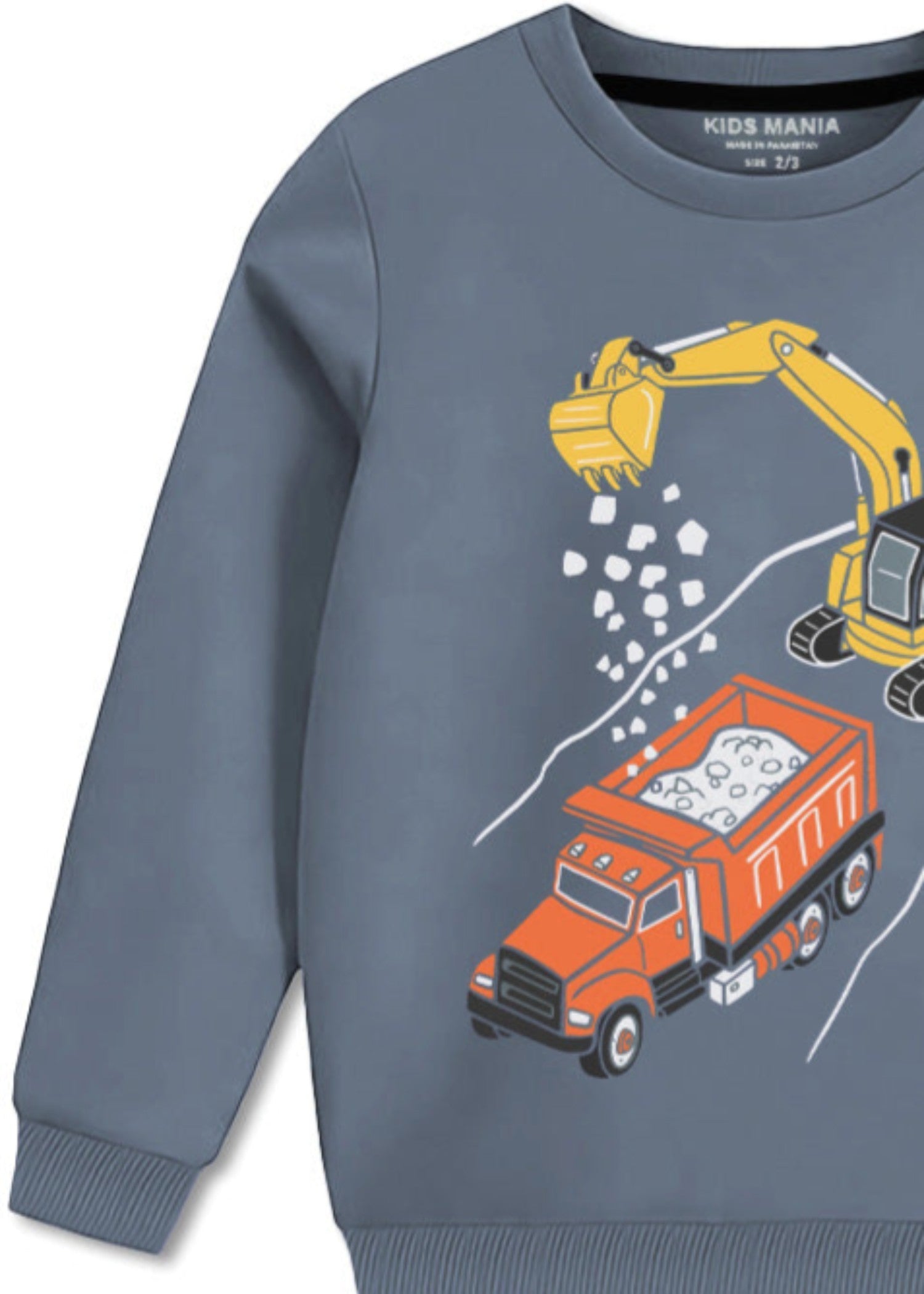 fleece Sweatshirt in Cool grey