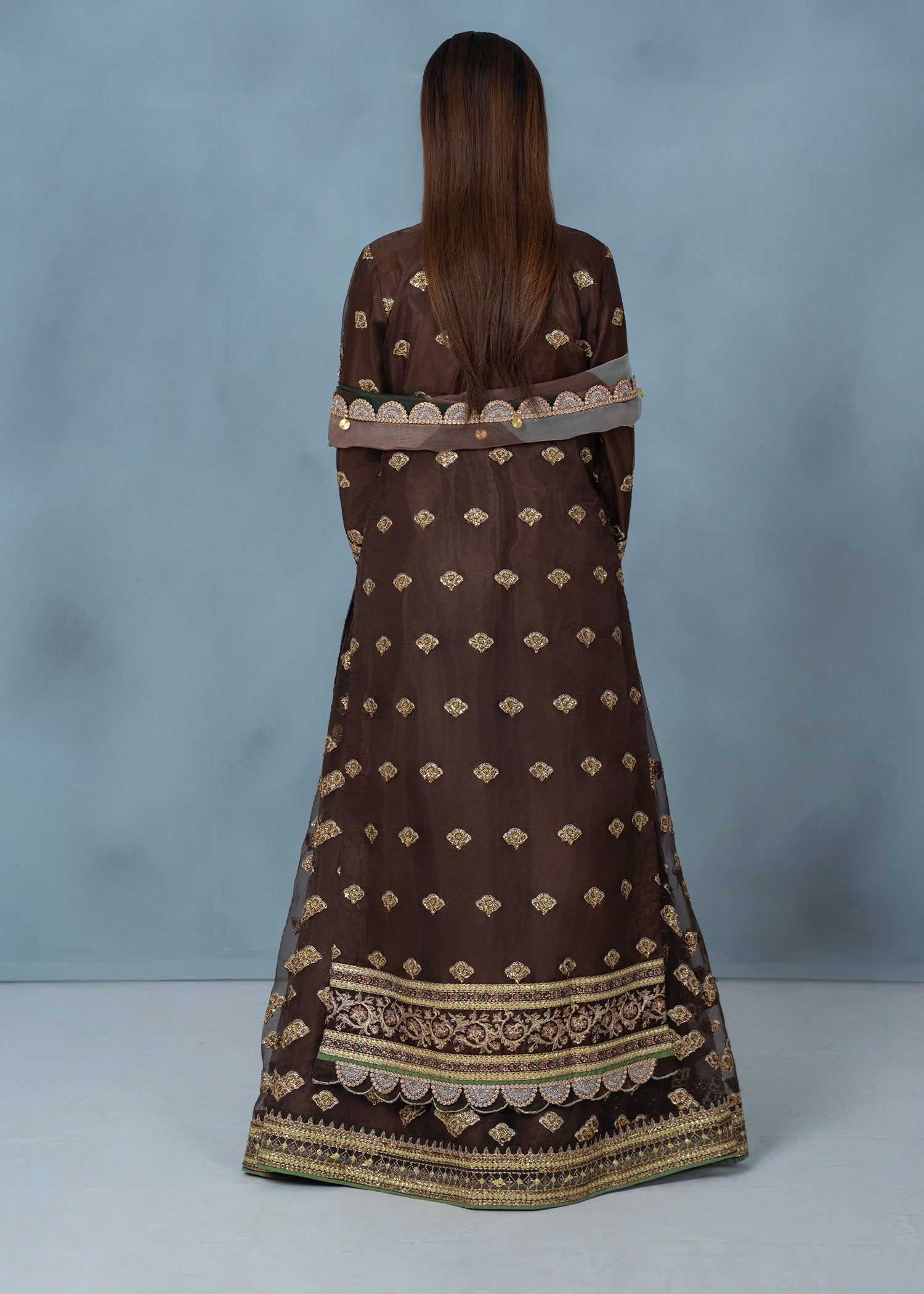 organza Lehenga in Brown