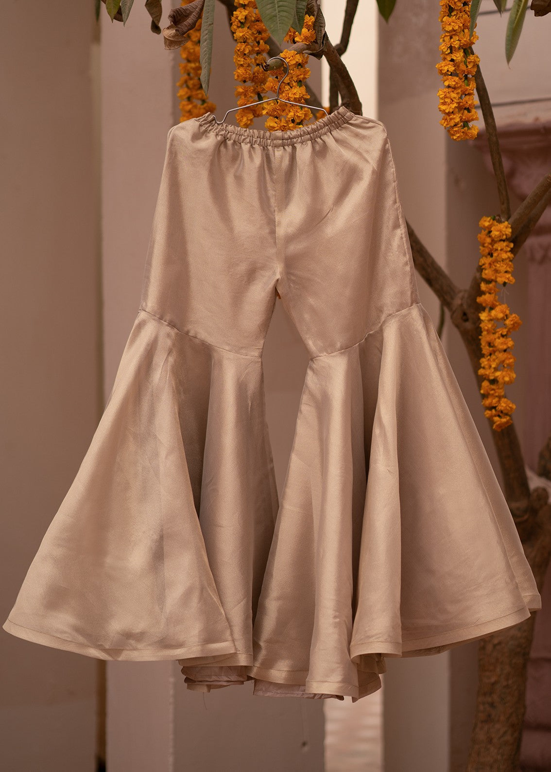 poly tissue Gharara in Champagne