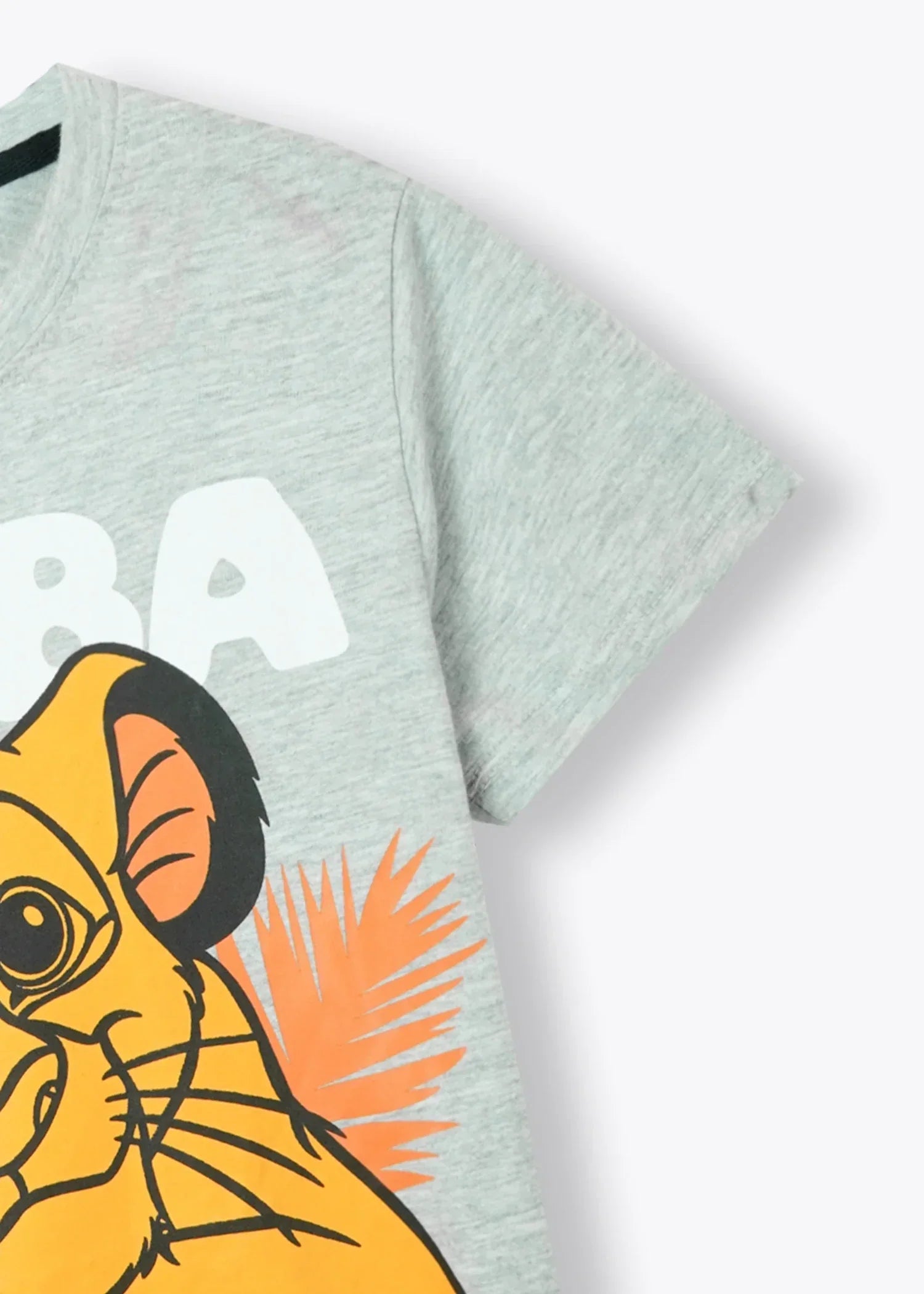 cotton T Shirt in Ash grey