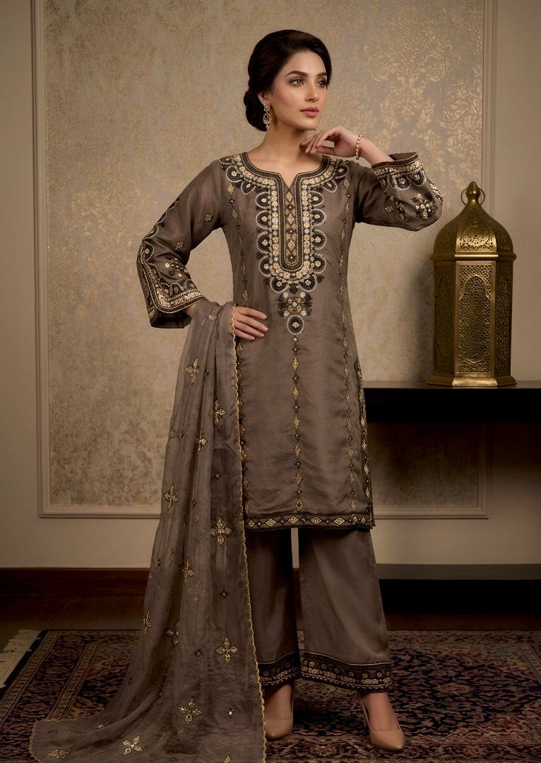 organza net Kurta Set in Mocha brown