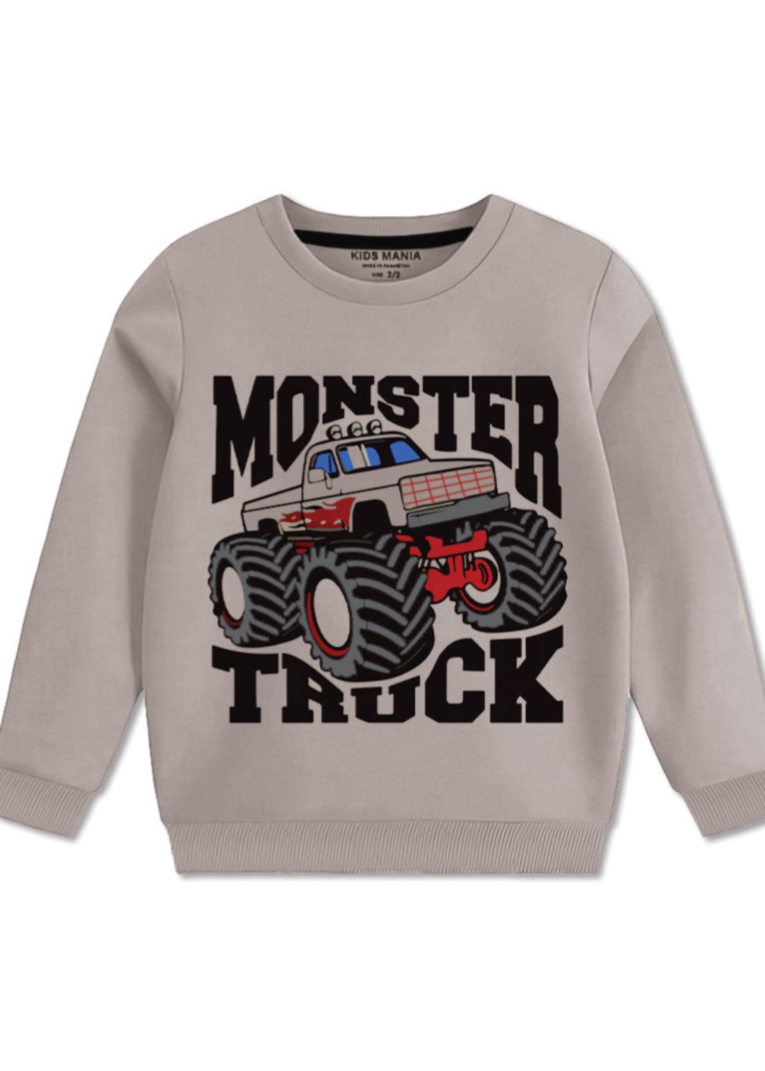 fleece Sweatshirt in Warm grey