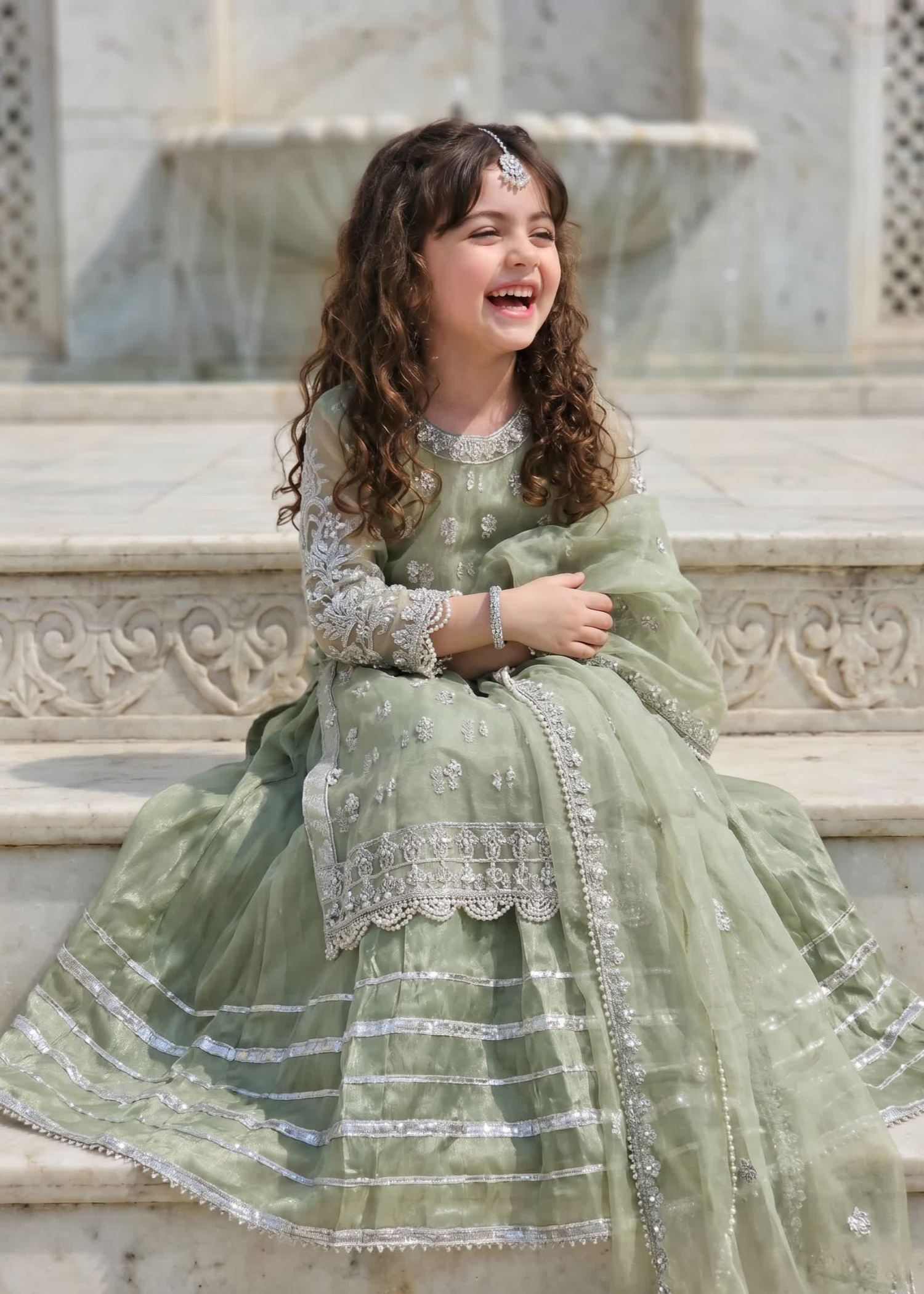 organza Lehenga in Pistachio green