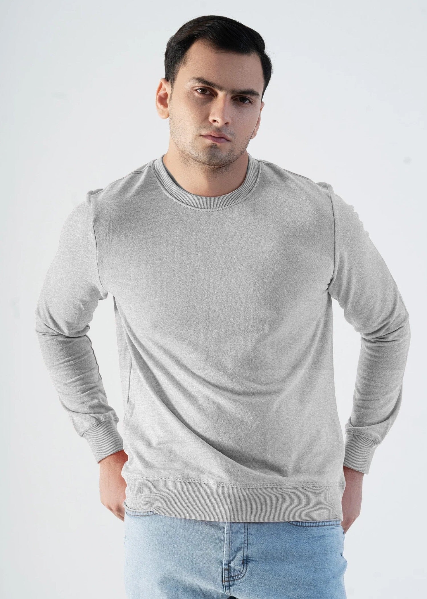 terry Sweatshirt in Light grey