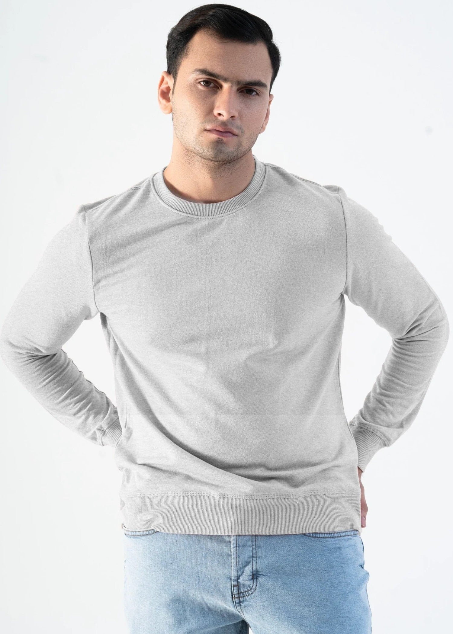 terry Sweatshirt in Light grey