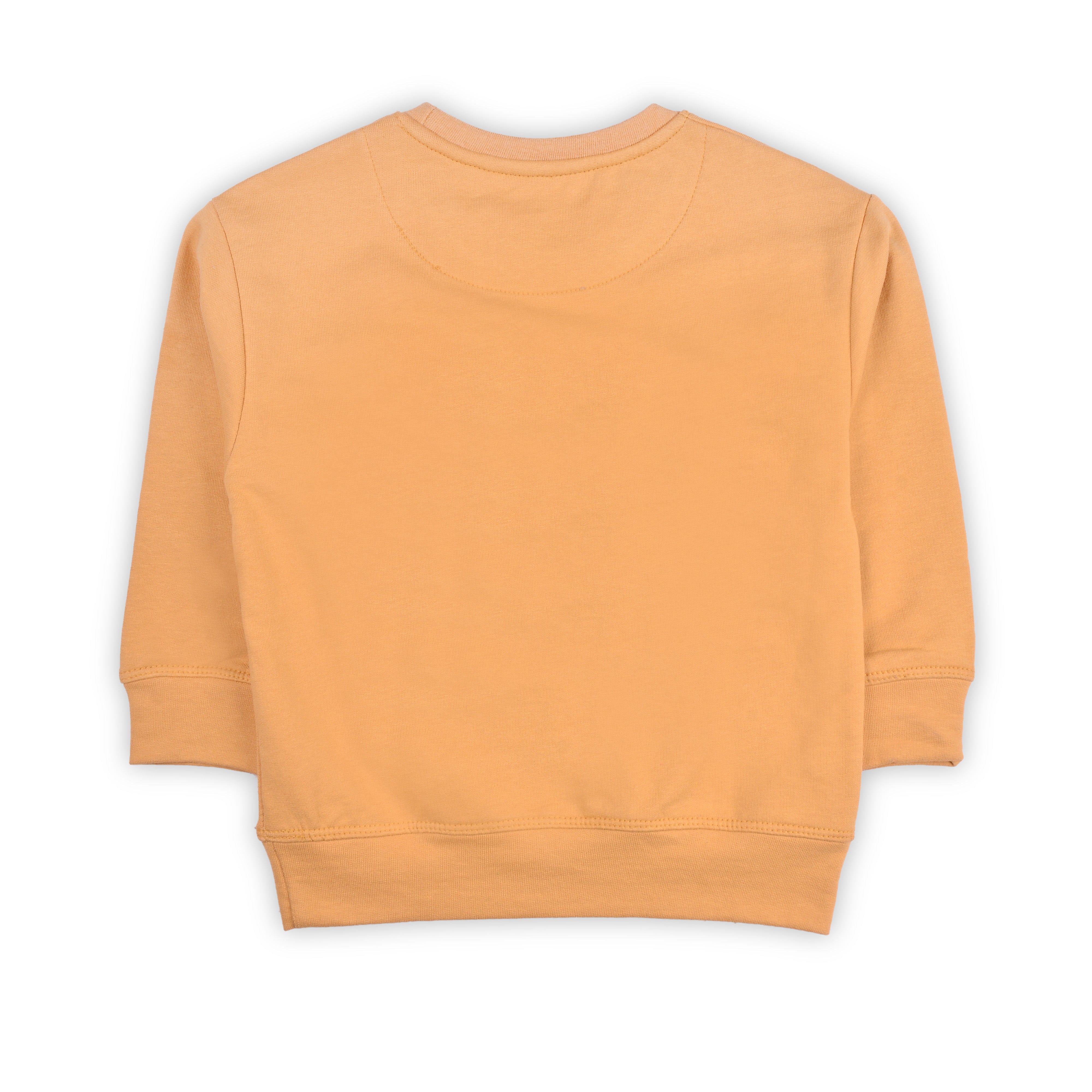 fleece Sweatshirt in Honey orange