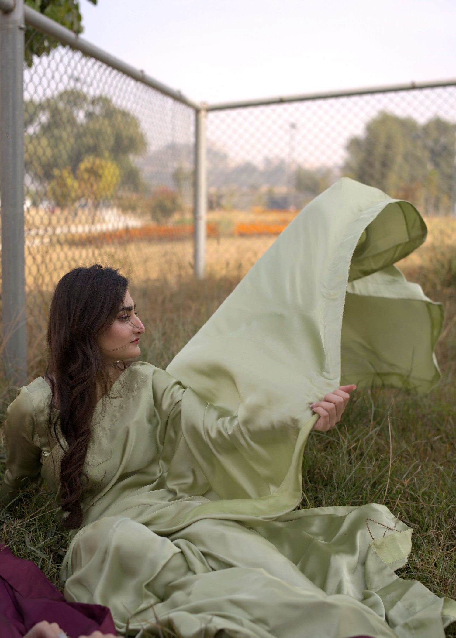 silk Saree in Pistachio green