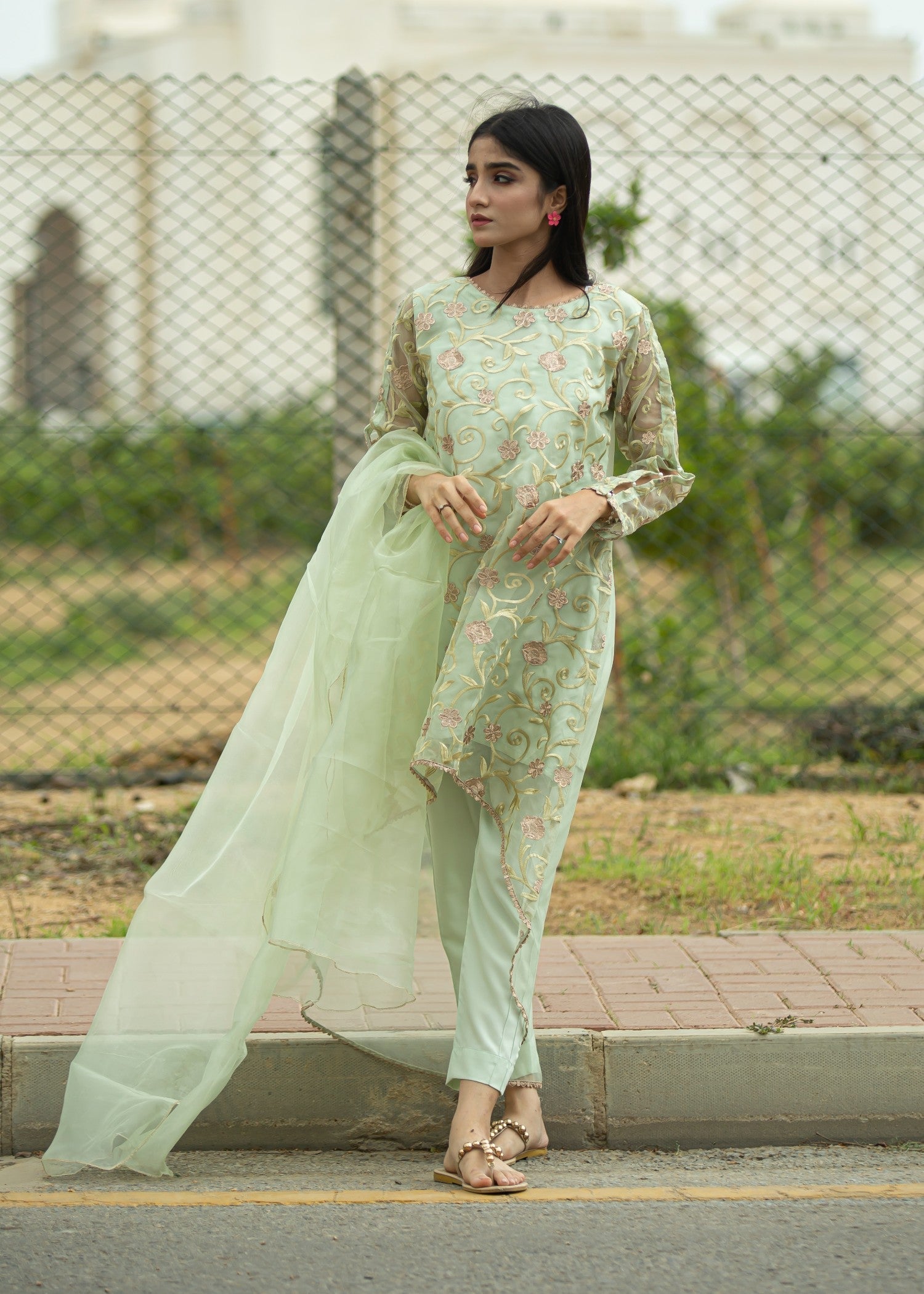 organza Short Frock in Tea green