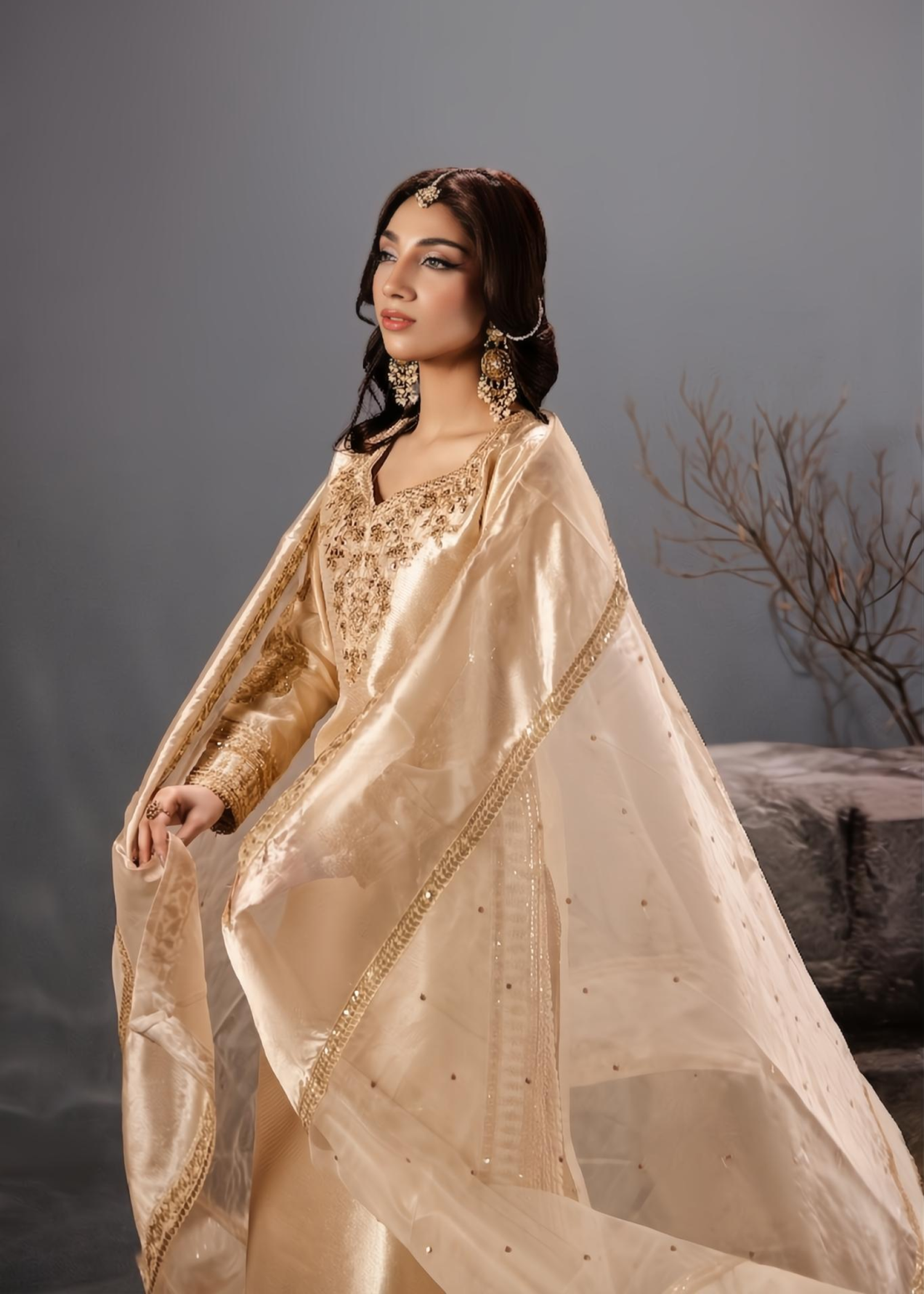 tissue Sharara in Champagne