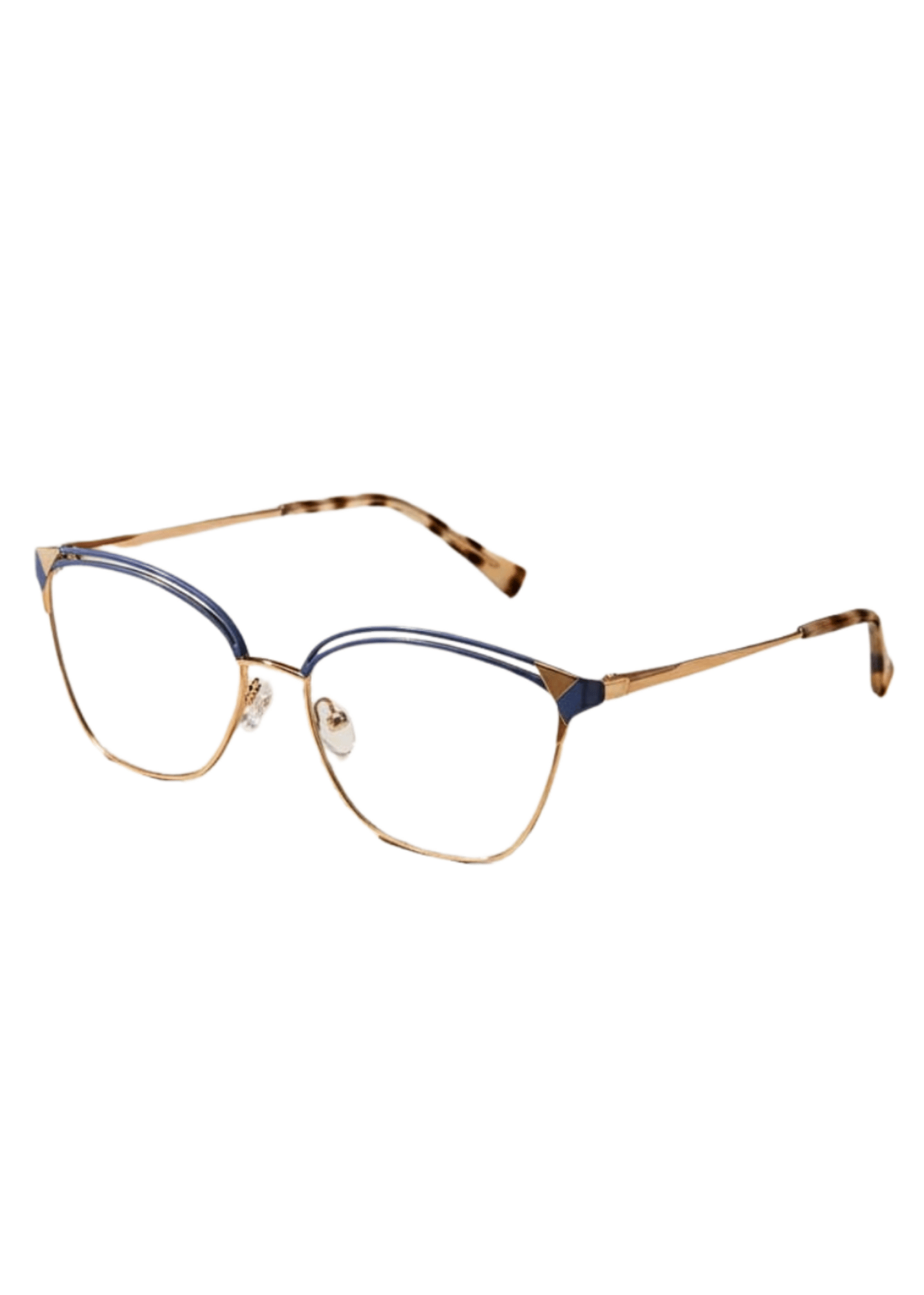 Plain Frames in Blue Color by - Trendy Women Plain Frames IVN7157