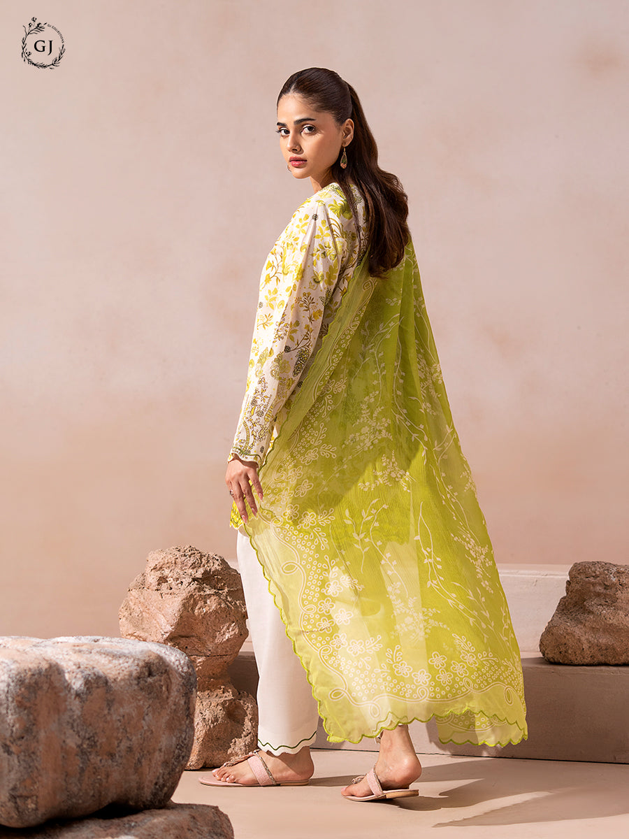 Rooh Lawn – A12