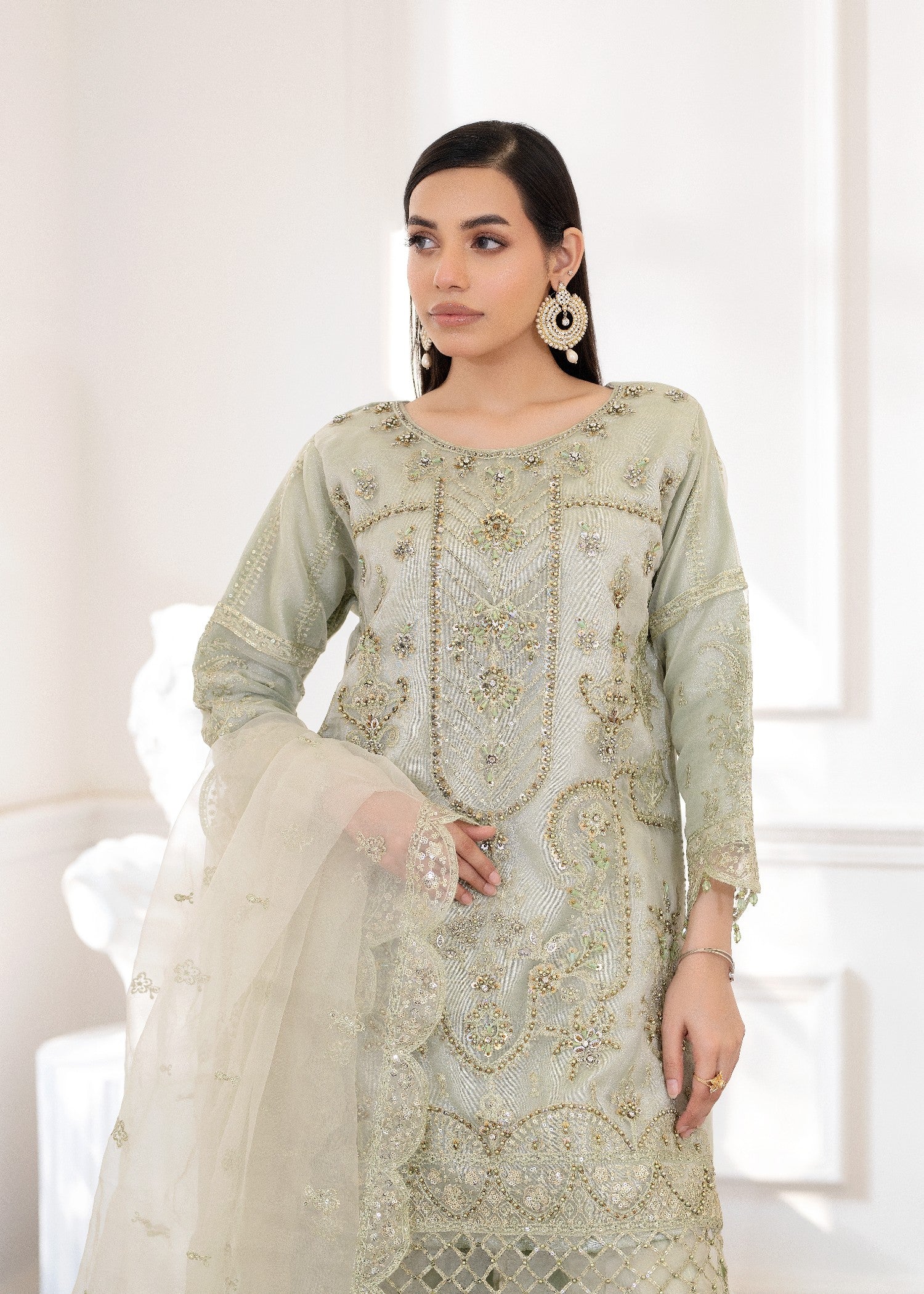 organza Sharara in Tea green